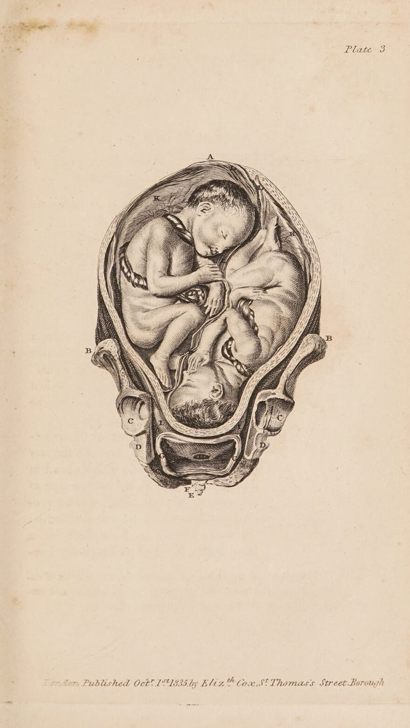 Plate > Thomas Street. Borough at th (20,5 liz * ’ S55, by Ls Teh r ~o ne Published Oct