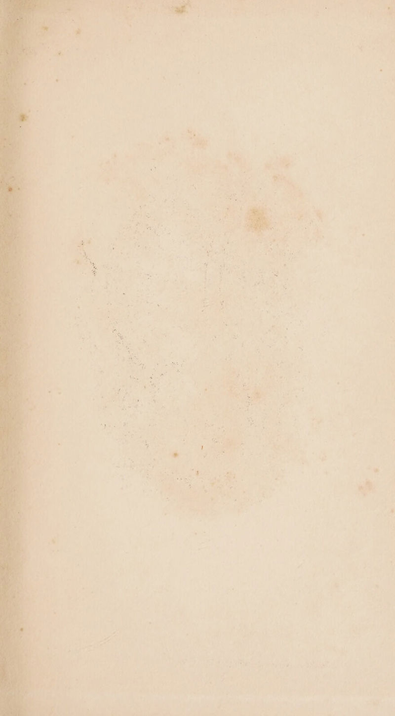 f v 3 . : dy ‘ of =4 “< ” ’ 7 a A x 4 ? ay a) 7 5 - é a L ) ¢ ‘ \ “5 