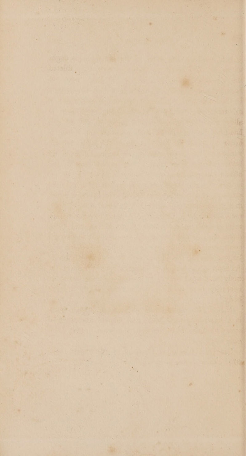 ere y ree ee ape it en.