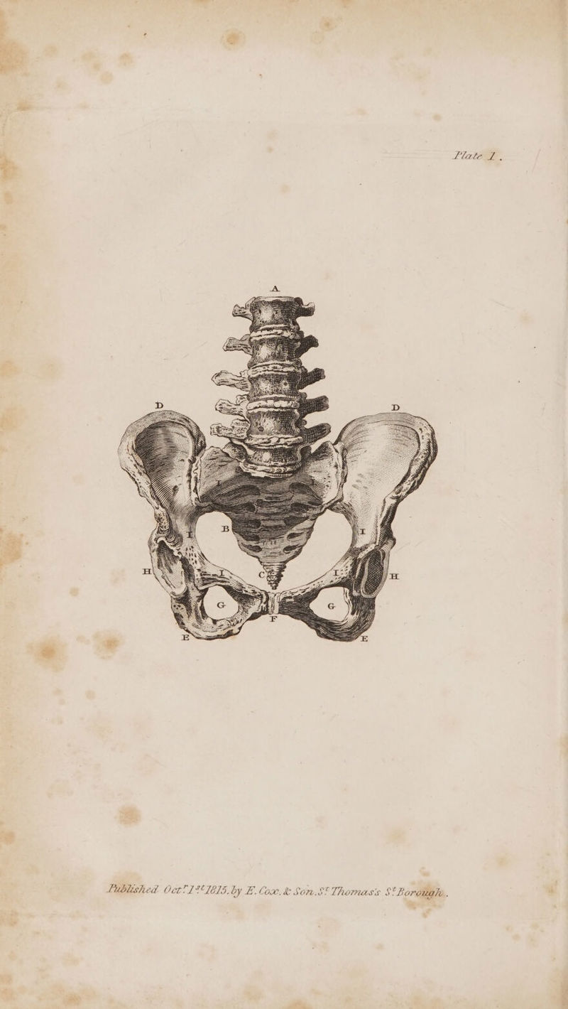 wos ny Lublished Octl1’* Tels. by E. Cox. &amp; Son.§* Thomasis S* Borough. Plate.