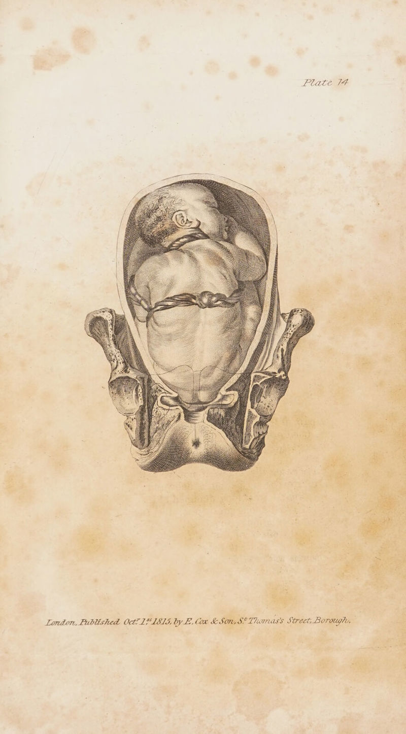 y ee yj , ZU ig) Gy Ley LY yy y UU Ww ig: