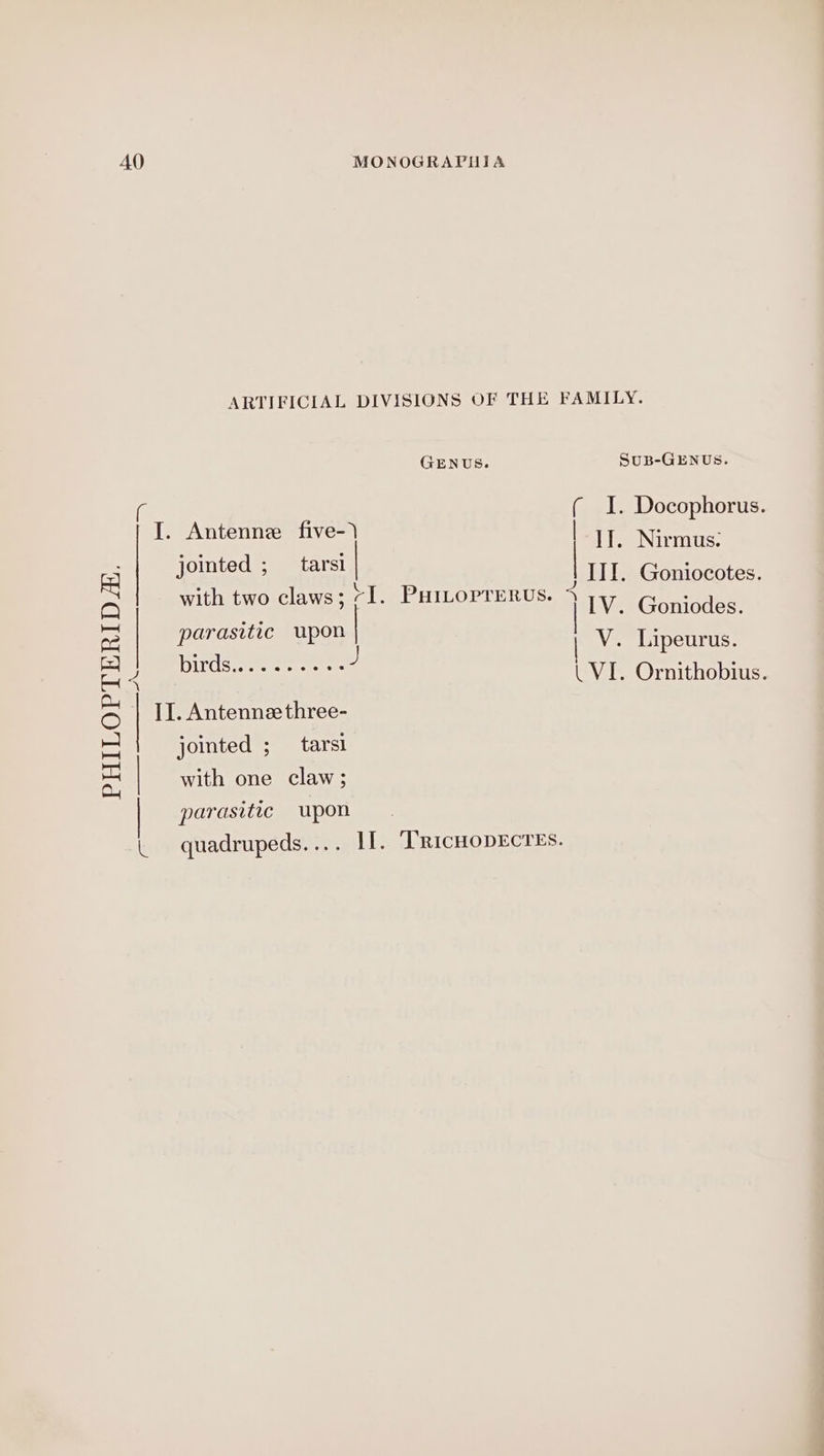 ARTIFICIAL DIVISIONS OF THE FAMILY. GENUS. SuB-GENUS. I. Docophorus. f ; iE Aeiheeses oe TG jointed ; tarsi c | . N | III. Goniocotes. with two claws; “I. PHtLoprerus. 1 , | V. Goniodes. arasitic upon : P P V. Lipeurus. Pirdss enereos J vrerOrnithopiees II. Antennzethree- jointed ; tarsi with one claw; PHILOPTERIDZ. oS eee parasitic upon | quadrupeds.... If. TricHopEcTEs.