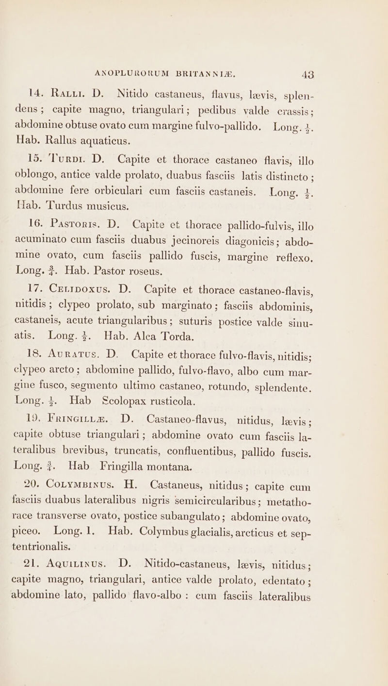 14. Ratu. D. Nitido castaneus, flavus, levis, splen- dens; capite magno, triangulari; pedibus valde crassis; abdomine obtuse ovato cum margine fulvo-pallido. Long. 3. Hab. Rallus aquaticus. 15. Turpi. D. Capite et thorace castaneo flavis, illo oblongo, antice valde prolato, duabus fasctis latis distincto ; abdomine fere orbiculari cum fasciis castaneis. Long. i. Hab. Turdus musicus. 16. Pasroris. D. Capite et thorace pallido-fulvis, illo acuminato cum fasciis duabus jecinoreis diagonicis; abdo- mine ovato, cum fasciis pallido fuscis, margine reflexo, Long. #. Hab. Pastor roseus. 17. Cetipoxus. D. Capite et thorace castaneo-flavis, nitidis ; clypeo prolato, sub marginato ; fasciis abdominis, castaneis, acute triangularibus; suturis postice valde sinu- atis. Long.4. Hab. Alca Torda. 18. Auratus. D. Capite et thorace fulvo-flavis, nitidis; clypeo arcto; abdomine pallido, fulvo-flavo, albo cum mar- gine fusco, segmento ultimo castaneo, rotundo, splendente. Long. 3. Hab Scolopax rusticola. 19. Frinettpm. D. Castaneo-flavus, nitidus, leevis ; capite obtuse triangulari; abdomine ovato cum fasciis la- teralibus brevibus, truncatis, confluentibus, pallido fuscis. Long. ¢. Hab. Fringilla montana. 20. Cotymbinus. H. Castaneus, nitidus; capite cum fasciis duabus lateralibus nigris semicircularibus; metatho- race transverse ovato, postice subangulato; abdomine ovato, piceo. Long. 1. Hab. Colymbus glacialis, arcticus et sep- tentrionalis. 21. Aquitinus. D. Nitido-castaneus, levis, nitidus; capite magno, triangulari, antice valde prolato, edentato ; abdomine lato, pallido flavo-albo : cum fasciis lateralibus