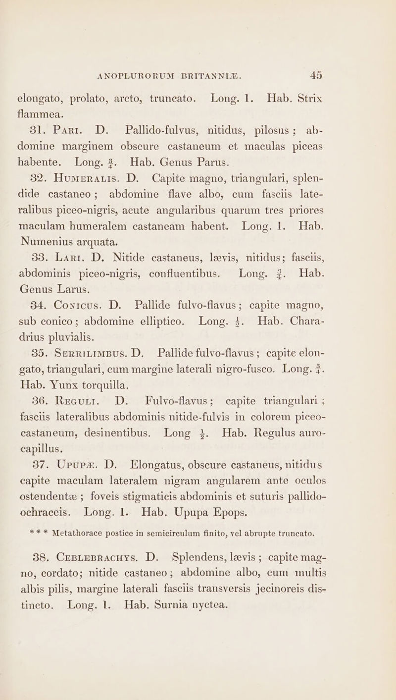 elongato, prolato, arcto, truncato. Long. 1. Hab. Strix flammea. 31. Part. D. Pallido-fulvus, nitidus, pilosus ; ab- domine marginem obscure castaneum et maculas piceas habente. Long. 2. Hab. Genus Parus. 32. Humeratis. D. Capite magno, triangulari, splen- dide castaneo; abdomine flave albo, cum fasciis late- ralibus piceo-nigris, acute angularibus quarum tres priores maculam humeralem castaneam habent. Long. 1. Hab. Numenius arquata. 33. Lari. D. Nitide castaneus, levis, nitidus; fasclis, abdominis piceo-nigris, confluentibus. Long. 3. Hab. Genus Larus. 34. Conicus. D. Pallide fulvo-flavus; capite magno, sub conico; abdomine elliptico. Long. $. Hab. Chara- drius pluvialis. 35. SerritimBus. D. Pallide fulvo-flavus; capite elon- gato, triangulari, cum margine laterali nigro-fusco. Long. 7. Hab. Yunx torquilla. 36. Reautr. D. Fulvo-flavus; capite triangulari ; fasciis lateralibus abdominis nitide-fulvis in colorem piceo- castaneum, desinentibus. Long 4. Hab. Regulus auro- ceapillus. 37. Upurxz. D. Elongatus, obscure castaneus, nitidus capite maculam lateralem nigram angularem ante oculos ostendentz ; foveis stigmaticis abdominis et suturis pallido- ochraceis. Long. 1. Hab. Upupa Epops. ** * Metathorace postice in semicirculum finito, vel abrupte truncato. 38. CEBLEBRACHYS. D. Splendens, leevis ; capite mag- no, cordato; nitide castaneo; abdomine albo, cum multis albis pilis, margine laterali fasciis transversis jecinoreis dis- tincto. Long. 1. Hab. Surnia nyctea.