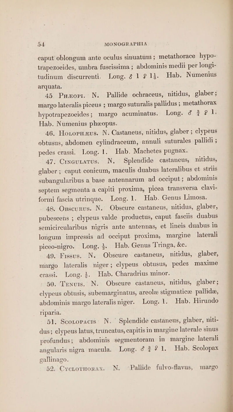 caput oblongum ante oculus sinuatum ; metathorace hypo- trapezoeides, umbra fuscissima ; abdominis medii per longi- tudinum discurrenti. Long. ¢ 1 2 1%. Hab. Numenius arquata. 45 Pumort. N. Pallide ochraceus, nitidus, glaber ; margo lateralis piceus ; margo suturalis pallidus ; metathorax hypotrapezoeides; margo acuminatus. Long. ¢ 3 ¢ I. Hab. Numenius pheopus. 46. Horopuamus. N. Castaneus, nitidus, glaber ; clypeus obtusus, abdomen cylindraceum, annuli suturales pallidi ; pedes crassi. Long. 1. Hab. Machetes pugnax. A7. Crncutatus. N. Splendide castaneus, nitidus, glaber ; caput conicum, maculis duabus lateralibus et strils subangularibus a base antennarum ad occiput ; abdominis septem segmenta.a capiti proxima, picea transversa clavi- formi fascia utrinque. Long. 1. Hab. Genus Limosa. 48. Opscurus. N. Obscure castaneus, nitidus, glaber, pubescens ; clypeus valde productus, caput fasciis duabus semicircularibus nigris ante antennas, et lineis duabus in longum impressis ad occiput proxima, margine laterali piceo-nigro. Long. 3. Hab. Genus Tringa, &amp;c. 49. Fissus. N. Obscure castaneus, nitidus, glaber, margo lateralis niger; clypeus obtusus, pedes maxime erassi. Long. 3. Hab. Charadrius minor. 50. Tenuis. N. Obscure castaneus, nitidus, glaber; elypeus obtusis, subemarginatus, areolee stigmatice pallide, abdominis margo lateralis niger. Long. I. Hab. Hirundo riparia. 51. Scoropacis' N. ° Splendide castaneus, glaber, niti- dus; clypeus latus, truncatus, capitis In margine laterale sinus profundus; abdominis segmentoram in margine laterall angularis nigra macula. Long. 6 3? 1. Hab. Scolopax gallinago. 52. CyctorHorax. N. ‘Pallide fulvo-flavus, margo