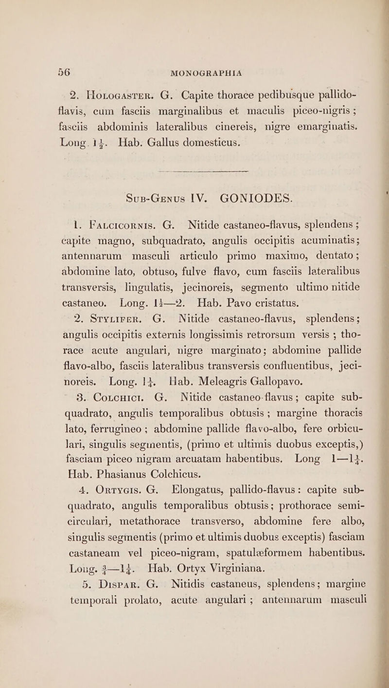 2. Horogasrer. G. Capite thorace pedibusque pallido- flavis, cum fasciis marginalibus et maculis piceo-nigris ; fasciis abdominis lateralibus cinereis, nigre emarginatis. Long. 14. Hab. Gallus domesticus. Sus-Genus [V. GONIODES. 1. Fatcicornis. G. Nitide castaneo-flavus, splendens ; capite magno, subquadrato, angulis occipitis acuminatis; antennarum masculi articulo primo maximo, dentato ; abdomine lato, obtuso, fulve flavo, cum fasciis lateralibus transversis, lingulatis, jecinoreis, segmento ultimo nitide eastaneo. Long. 12—2. Hab. Pavo cristatus. 2. Stytirer. G. Nitide castaneo-flavus, splendens; angulis occipitis externis longissimis retrorsum versis ; tho- race acute angulari, nigre marginato; abdomine pallide flavo-albo, fasciis lateralibus transversis confluentibus, jeci- noreis. Long. 13. Hab. Meleagris Gallopavo. 3. Contcuict. G. Nitide castaneo-flavus; capite sub- quadrato, angulis temporalibus obtusis ; margine thoracis lato, ferrugineo ; abdomine pallide flavo-albo, fere orbicu- lari, singulis segmentis, (primo et ultimis duobus exceptis,) fasciam piceo nigram arcuatam habentibus. Long 1—l1}. Hab. Phasianus Colchicus. 4, Ortyeis. G. Elongatus, pallido-flavus: capite sub- quadrato, angulis temporalibus obtusis; prothorace semi- circulari, metathorace transverso, abdomine fere albo, singulis segmentis (primo et ultimis duobus exceptis) fasciam castaneam vel piceo-nigram, spatuleformem habentibus. Loug. 3—14. Hab. Ortyx Virginiana. 5. Dispar. G. Nitidis castaneus, splendens; margine temporali prolato, acute angulari; antennarum masculi