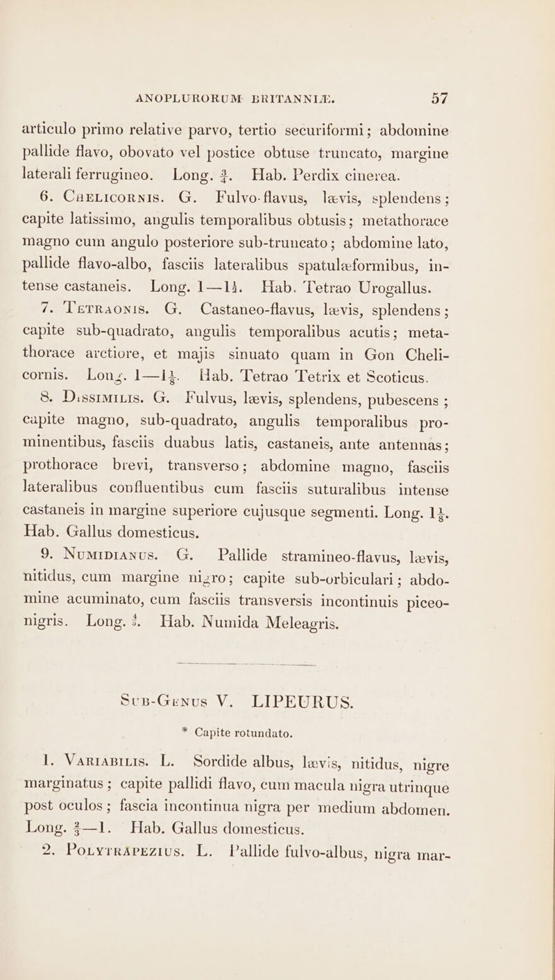 articulo primo relative parvo, tertio securiformi; abdomine pallide flavo, obovato vel postice obtuse truncato, margine laterali ferrugineo. Long. 2. Hab. Perdix cinerea. 6. Carticornis. G. Fulvo-flavus, laevis, splendens ; capite latissimo, angulis temporalibus obtusis; metathorace magno cum angulo posteriore sub-truncato; abdomine lato, pallide flavo-albo, fasciis lateralibus spatuleformibus, in- tense castaneis. Long. 1—13. Hab. Tetrao Urogallus. 7. ‘Terraonis. G. Castaneo-flavus, levis, splendens ; capite sub-quadrato, angulis temporalibus acutis; meta- thorace arctiore, et majis sinuato quam in Gon Cheli- cornis. Lon z. 1—i2i. Hab. Tetrao Tetrix et Scoticus. 8. Dissiminis. G. Fulvus, levis, splendens, pubescens ; capite magno, sub-quadrato, angulis temporalibus_pro- minentibus, fasciis duabus latis, castaneis, ante antennas; prothorace brevi, transverso; abdomine magno, fasciis lateralibus covfluentibus cum fasciis suturalibus intense castanels In margine superiore cujusque segmenti. Long. 14. Hab. Gallus domesticus. 9. Numipranus. G. Pallide stramineo-flavus, leevis, nitidus, cum margine nizgro; capite sub-orbiculari; abdo- mine acuminato, cum fasciis transversis incontinuis piceo- nigris. Long. &gt;. Hab. Numida Meleagris. SuB-Genus V. LIPEURUS. * Capite rotundato. I. VariaBinis. L. Sordide albus, levis, nitidus, nigre marginatus ; capite pallidi flavo, cum macula nigra utrinque post oculos ; fascia incontinua nigra per medium abdomen. Long. 3—1. Hab. Gallus domesticus. 2. Poryrravezius. L. Pallide fulvo-albus, nigra mar-