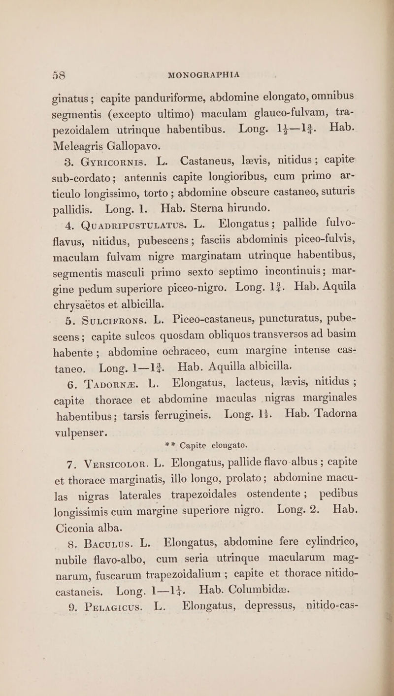 ginatus; capite panduriforme, abdomine elongato, omnibus segmentis (excepto ultimo) maculam glauco-fulvam, tra- pezoidalem utrinque habentibus. Long. 13—li. Hab. Meleagris Gallopavo. 3. Gyricornis. L. Castaneus, levis, nitidus; capite sub-cordato; antennis capite longioribus, cum primo ar- ticulo longissimo, torto ; abdomine obscure castaneo, suturis pallidis. Long. 1. Hab. Sterna hirundo. 4. Quaprivustutatus. L. Elongatus ; pallide fulvo- flavus, nitidus, pubescens; fasciis abdominis piceo-fulvis, maculam fulvam nigre marginatam utrinque habentibus, segmentis masculi primo sexto septimo incontinuis; mar- gine pedum superiore piceo-nigro. Long. 12. Hab. Aquila chrysaétos et albicilla. 5. SutctrRons. L. Piceo-castaneus, puncturatus, pube- scens; capite sulcos quosdam obliquos transversos ad basim habente; abdomine ochraceo, cum margine intense cas- taneo. Long. 1—13. Hab. Aquilla albicilla. 6. Tapornm. L. Elongatus, lacteus, levis, nitidus ; capite thorace et abdomine maculas nigras marginales habentibus; tarsis ferrugineis. Long. 13. Hab. Tadorna vulpenser. ** Capite elongato. 7. VersicoLor. L. Elongatus, pallide flavo-albus ; capite et thorace marginatis, illo longo, prolato; abdomine macu- las nigras laterales trapezoidales ostendente ; pedibus longissimis cum margine superiore nigro. Long. 2. Hab. Ciconia alba. s, Bacuuus. L. Elongatus, abdomine fere cylindrico, nubile flayo-albo, cum seria utrinque macularum mag- narum, fuscarum trapezoidalium ; capite et thorace nitido- castaneis. Long. 1—l}. Hab. Columbide. 9, Penacicus. L. Elongatus, depressus, nitido-cas- i OT