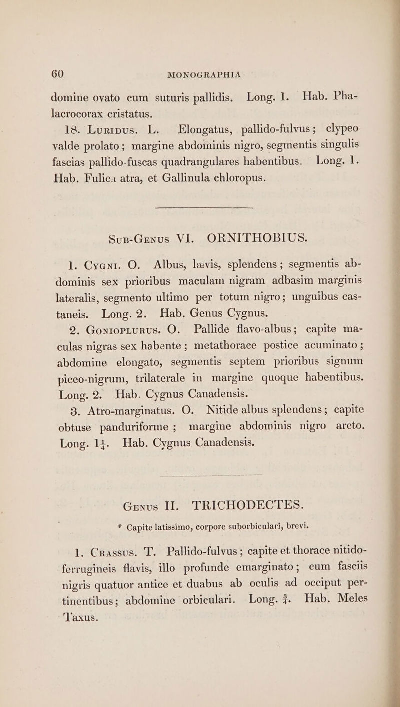 domine ovato cum suturis pallidis. Long. 1. Hab. Pha- lacrocorax cristatus. 18. Luripus. L. Elongatus, pallido-fulvus; clypeo valde prolato; margine abdominis nigro, segmentis singulis fascias pallido-fuscas quadrangulares habentibus. Long. 1. Hab. Fulica atra, et Gallinula chloropus. Sus-Genus VI. ORNITHOBIUS. 1. Cyent. O. Albus, levis, splendens; segmentis ab- dominis sex prioribus maculam nigram adbasim marginis lateralis, segmento ultimo per totum nigro; unguibus cas- taneis. Long. 2. Hab. Genus Cygnus. 2. Gontopturus. O. Pallide flavo-albus; capite ma- culas nigras sex habente ; metathorace postice acuminato ; abdomine elongato, segmentis septem prioribus signum piceo-nigrum, trilaterale in margine quoque habentibus. Long. 2. Hab. Cygnus Canadensis. 3. Atro-marginatus. O. Nitide albus splendens; capite obtuse panduriforme ; margine abdowinis nigro arcto. Long. 11. Hab. Cygnus Canadensis, Genus Il. TRICHODECTES. * Capite latissimo, corpore suborbiculari, brevi. 1. Crassus. T. Pallido-fulvus ; capite et thorace nitido- ferrugineis flavis, illo profunde emarginato; cum fascils nigris quatuor antice et duabus ab oculis ad occiput per- tinentibus; abdomine orbiculari. Long. ?. Hab. Meles ‘Taxus.