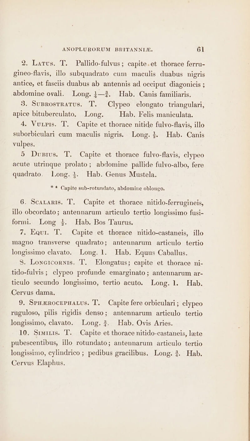 2. Latvs. T. Pallido-fulvus; capite.et thorace ferru- gineo-flavis, illo subquadrato cum maculis duabus nigris antice, et fasciis duabus ab antennis ad occiput diagonicis ; abdomine ovali. Long. }—#. Hab. Canis familiaris. 3. SuBrostratus. T. Clypeo elongato triangulari, apice bituberculato, Long. Hab. Felis maniculata. 4, Vutpis. T. Capite et thorace nitide fulvo-flavis, illo suborbiculari cum maculis nigris. Long. 3. Hab. Canis vulpes. 5 Dustus. T. Capite et thorace fulvo-flavis, clypeo acute utrinque prolato; abdomine pallide fulvo-albo, fere quadrato. Long. 3. Hab. Genus Mustela. * * Capite sub-rotundato, abdomine oblongo. 6. Scataris. IT’. Capite et thorace nitido-ferrugineis, illo obcordato; antennarum articulo tertio longissimo fusi- formi. Long 3. Hab. Bos Taurus. 7. Equi. T. Capite et thorace nitido-castaneis, illo magno transverse quadrato; antennarum articulo tertio longissimo clavato. Long. 1. Hab. Equus Caballus. S. Loncicornis. T. Elongatus; capite et thorace ni- tido-fulvis ; clypeo profunde emarginato; antennarum ar- ticulo secundo longissimo, tertio acuto. Long. 1. Hab. Cervus dama. 9. SpHmrRocepuatus. IT’. Capite fere orbiculari; clypeo ruguloso, pilis rigidis denso; antennarum articulo tertio longissimo, clavato. Long. 2. Hab. Ovis Aries. 10. Simizis. ‘I’. Capite et thorace nitido-castaneis, lete pubescentibus, illo rotundato; antennarum articulo tertio longissimo, cylindrico ; pedibus gracilibus. Long. 3. Hab. Cervus Elaphus.