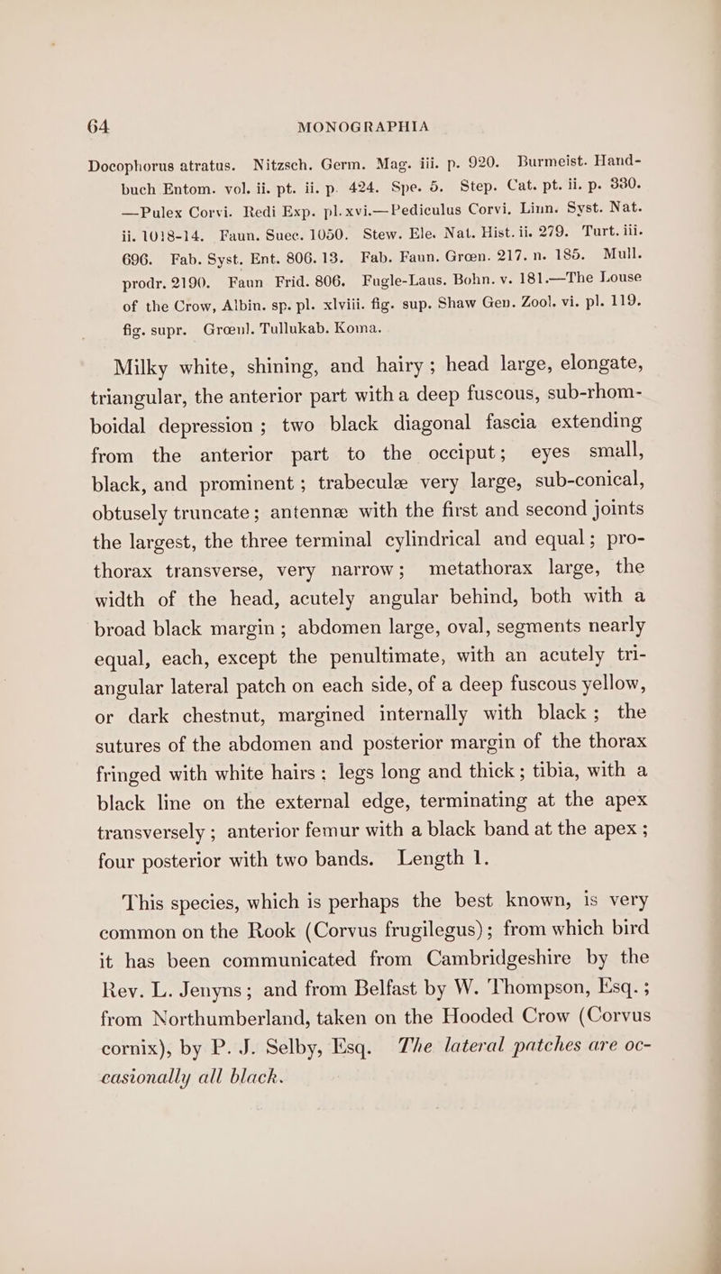 Docophorus atratus. Nitzsch. Germ. Mag. iil. p. 920. Burmeist. Hand- buch Entom. vol. ii. pt. ii. p. 424. Spe. 5. Step. Cat. pt. ii. p. 330. —Pulex Corvi. Redi Exp. pl.xvi.—Pediculus Corvi. Linn. Syst. Nat. ii. 1018-14. Faun. Suec. 1050. Stew. Ele. Nat. Hist. ii. 279. Turt. ili. 696. Fab. Syst. Ent. 806.13. Fab. Faun, Green. 217.n. 185. Mull. prodr. 2190. Faun Frid. 806. Fugle-Laus. Bohn. v. 181.—The Louse of the Crow, Albin. sp. pl. xlviii. fig. sup. Shaw Gen. Zool. vi. pl. 119. fig. supr. Groen]. Tullukab. Koma. Milky white, shining, and hairy ; head large, elongate, triangular, the anterior part with a deep fuscous, sub-rhom- boidal depression ; two black diagonal fascia extending from the anterior part to the occiput; eyes small, black, and prominent ; trabecule very large, sub-conical, obtusely truncate; antennz with the first and second joints the largest, the three terminal cylindrical and equal; pro- thorax transverse, very narrow; metathorax large, the width of the head, acutely angular behind, both with a broad black margin ; abdomen large, oval, segments nearly equal, each, except the penultimate, with an acutely tri- angular lateral patch on each side, of a deep fuscous yellow, or dark chestnut, margined internally with black; the sutures of the abdomen and posterior margin of the thorax fringed with white hairs: legs long and thick; tibia, with a black line on the external edge, terminating at the apex transversely ; anterior femur with a black band at the apex ; four posterior with two bands. Length 1. This species, which is perhaps the best known, is very common on the Rook (Corvus frugilegus); from which bird it has been communicated from Cambridgeshire by the Rey. L. Jenyns; and from Belfast by W. Thompson, Esq. ; from Northumberland, taken on the Hooded Crow (Corvus cornix), by P. J. Selby, Esq. The lateral patches are oc- castonally all black.