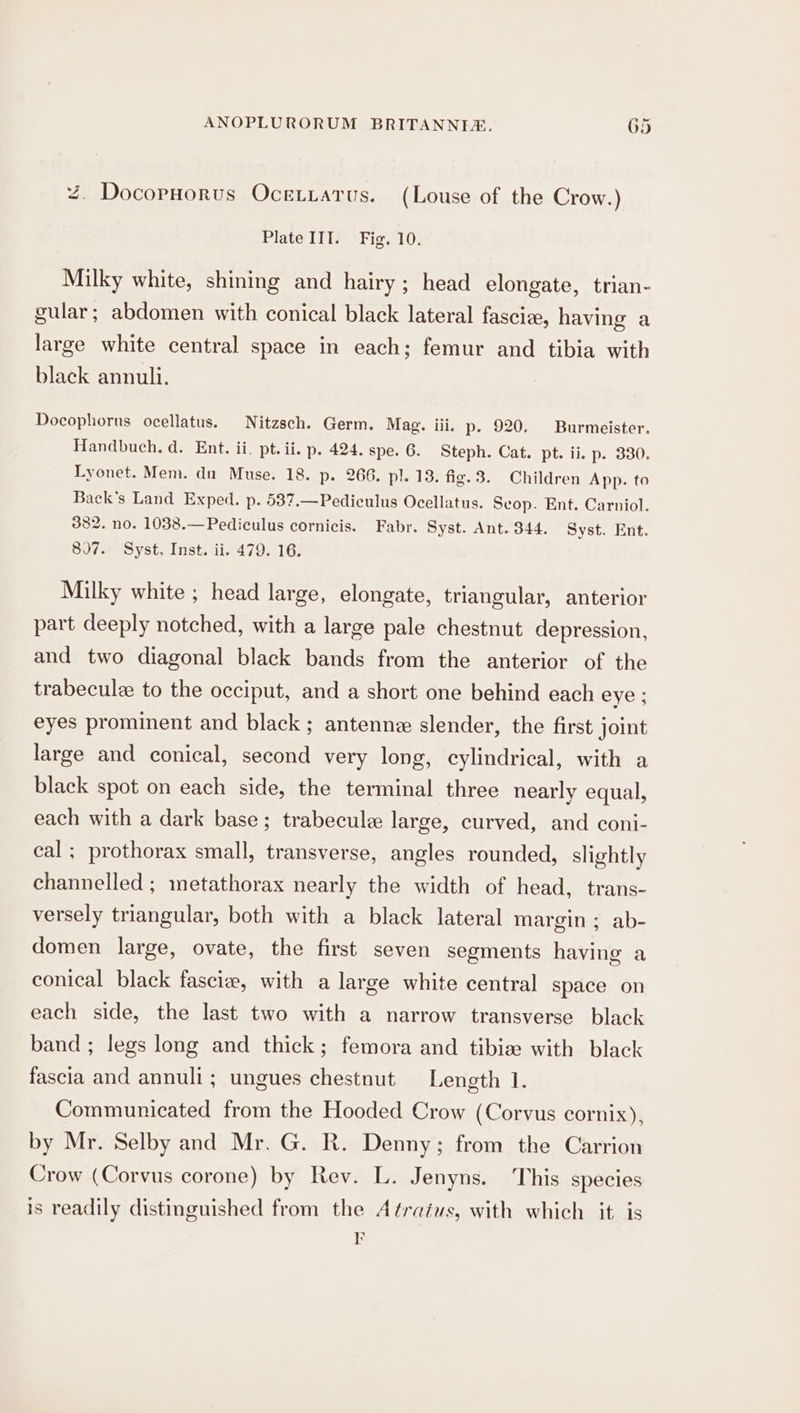 ~. Docorpnorus Ocetiarus. (Louse of the Crow.) Plate III. Fig. 10. Milky white, shining and hairy; head elongate, trian- gular; abdomen with conical black lateral fasciz, having a large white central space in each; femur and tibia with black annuli. Docophorus ocellatus. Nitzsch. Germ. Mag. iii. p- 920. Burmeister. Handbuch. d. Ent. ii. pt.ii. p. 424. spe. 6. Steph. Cat. pt. ii. p. 330. Lyonet. Mem. du Muse. 18. p. 266. pl. 13. fig. 3. Children App. to Back’s Land Exped. p. 587.—Pediculus Ocellatus. Scop. Ent. Carniol. 382. no. 1038.—Pediculus cornicis. Fabr. Syst. Ant. 344. Syst. Ent. 807. Syst. Inst. ii. 479. 16. Milky white ; head large, elongate, triangular, anterior part deeply notched, with a large pale chestnut depression, and two diagonal black bands from the anterior of the trabecule to the occiput, and a short one behind each eye ; eyes prominent and black ; antenne slender, the first joint large and conical, second very long, cylindrical, with a black spot on each side, the terminal three nearly equal, each with a dark base; trabecule large, curved, and coni- cal ; prothorax small, transverse, angles rounded, slightly channelled ; metathorax nearly the width of head, trans- versely triangular, both with a black lateral margin; ab- domen large, ovate, the first seven segments having a conical black fasciee, with a large white central space on each side, the last two with a narrow transverse black band ; legs long and thick; femora and tibie with black fascia and annuli; ungues chestnut Length 1. Communicated from the Hooded Crow (Corvus cornix), by Mr. Selby and Mr. G. R. Denny; from the Carrion Crow (Corvus corone) by Rev. L. Jenyns. ‘This species is readily distinguished from the Atratus, with which it is Er