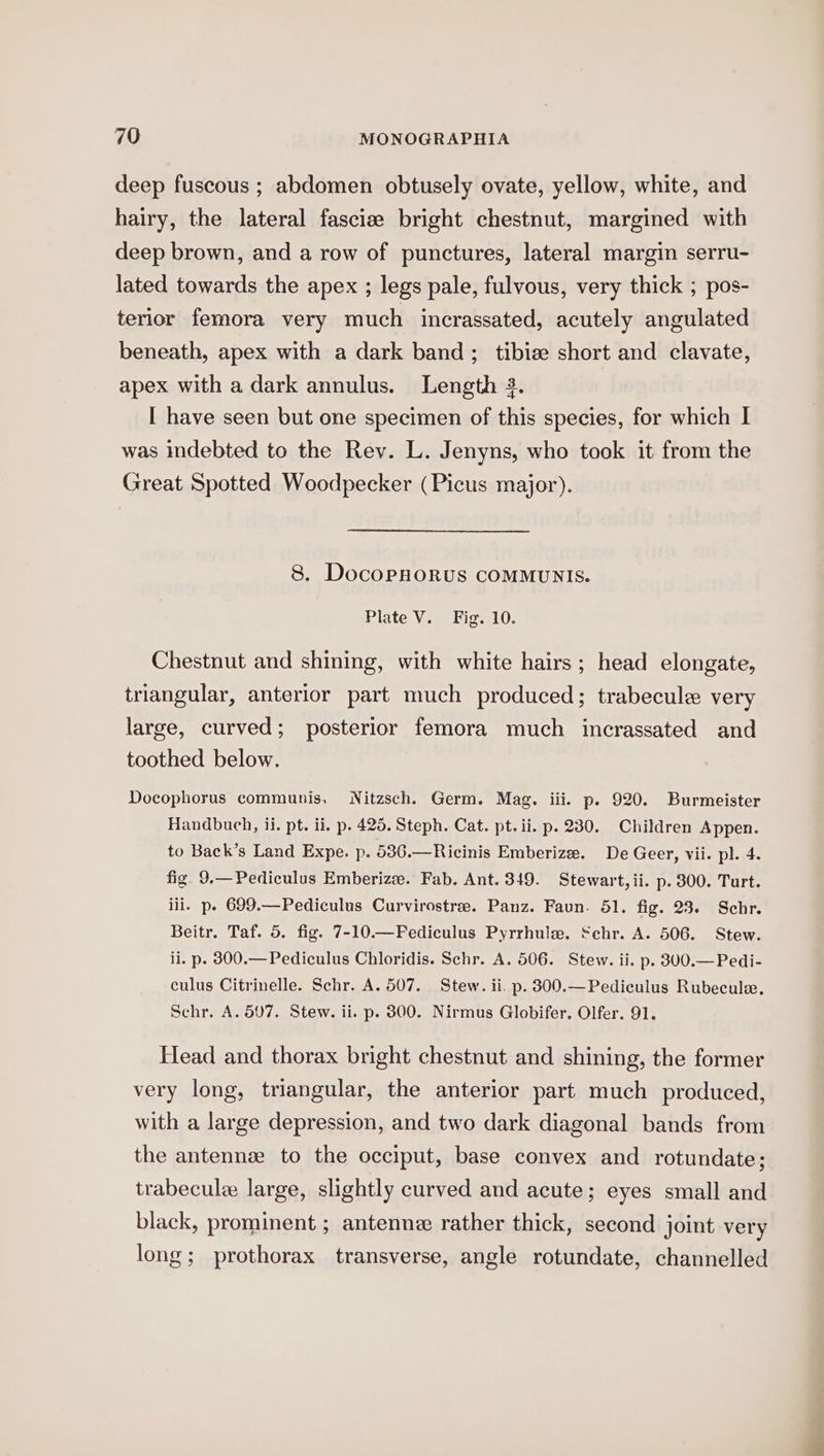 deep fuscous ; abdomen obtusely ovate, yellow, white, and hairy, the lateral fasciee bright chestnut, margined with deep brown, and a row of punctures, lateral margin serru- lated towards the apex ; legs pale, fulvous, very thick ; pos- terior femora very much incrassated, acutely angulated beneath, apex with a dark band; tibize short and clavate, apex with a dark annulus. Length 3. I have seen but one specimen of this species, for which I was indebted to the Rev. L. Jenyns, who took it from the Great Spotted Woodpecker (Picus major). 8. DocoPpHoRuS COMMUNIS. Plate V. Fig. 10. Chestnut and shining, with white hairs; head elongate, triangular, anterior part much produced; trabecule very large, curved; posterior femora much incrassated and toothed below. Docophorus communis, Nitzsch. Germ. Mag. iii. p. 920. Burmeister Handbuch, ii. pt. ii. p. 425. Steph. Cat. pt. ii. p. 230. Children Appen. to Back’s Land Expe. p. 536.—Ricinis Emberize. De Geer, vii. pl. 4. fig. 9.— Pediculus Emberize. Fab. Ant. 349. Stewart, ii. p. 300. Turt. iii. p- 699.—Pediculus Curvirostre. Panz. Faun. 51. fig. 23. Schr. Beitr. Taf. 5. fig. 7-10.—FPediculus Pyrrhule. Schr. A. 506. Stew. ii. p. 8300.— Pediculus Chloridis. Schr. A. 506. Stew. ii. p. 300.—Pedi- culus Citrinelle. Schr. A. 507. Stew. ii. p. 300.—Pediculus Rubecule, Schr. A. 507. Stew. ii. p. 300. Nirmus Globifer. Olfer. 91. Head and thorax bright chestnut and shining, the former very long, triangular, the anterior part much produced, with a large depression, and two dark diagonal bands from the antennze to the occiput, base convex and rotundate; trabecule large, slightly curved and acute; eyes small and black, prominent ; antenne rather thick, second joint very long; prothorax transverse, angle rotundate, channelled