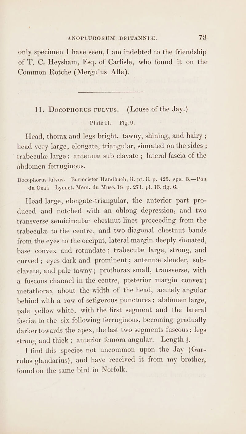 only specimen I have seen, I am indebted to the friendship of T, C. Heysham, Esq. of Carlisle, who found it on the Common Rotche (Mergulus Alle). 11. Docopnorus ruLvus. (Louse of the Jay.) Plate lI. Fig. 9. Head, thorax and legs bright, tawny, shining, and hairy ; head very large, elongate, triangular, sinuated on the sides ; trabecule large; antenne sub clavate ; lateral fascia of the abdomen ferruginous. Docophorus fulvus. Burmeister Handbuch, ii. pt. ii. p. 425. spe. 3.—Pou du Geai. Lyonet. Mem. du Muse. 18. p. 271. pl. 13. fig. 6. Head large, elongate-triangular, the anterior part pro- duced and notched with an oblong depression, and two transverse semicircular chestnut lines proceeding from the trabecule to the centre, and two diagonal chestnut bands from the eyes to the occiput, lateral margin deeply sinuated, base convex and rotundate ; trabecule large, strong, and curved ; eyes dark and prominent; antenne slender, sub- clavate, and pale tawny; prothorax small, transverse, with a fuscous channel in the centre, posterior margin convex; metathorax about the width of the head, acutely angular behind with a row of setigerous punctures ; abdomen large, pale yellow white, with the first segment and the lateral fasciee to the six following ferruginous, becoming gradually darker towards the apex, the last two segments fuscous; legs strong and thick ; anterior femora angular. Length 4. I find this species not uncommon upon the Jay (Gar- rulus glandarius), and have received it from my brother, found on the same bird in Norfolk.