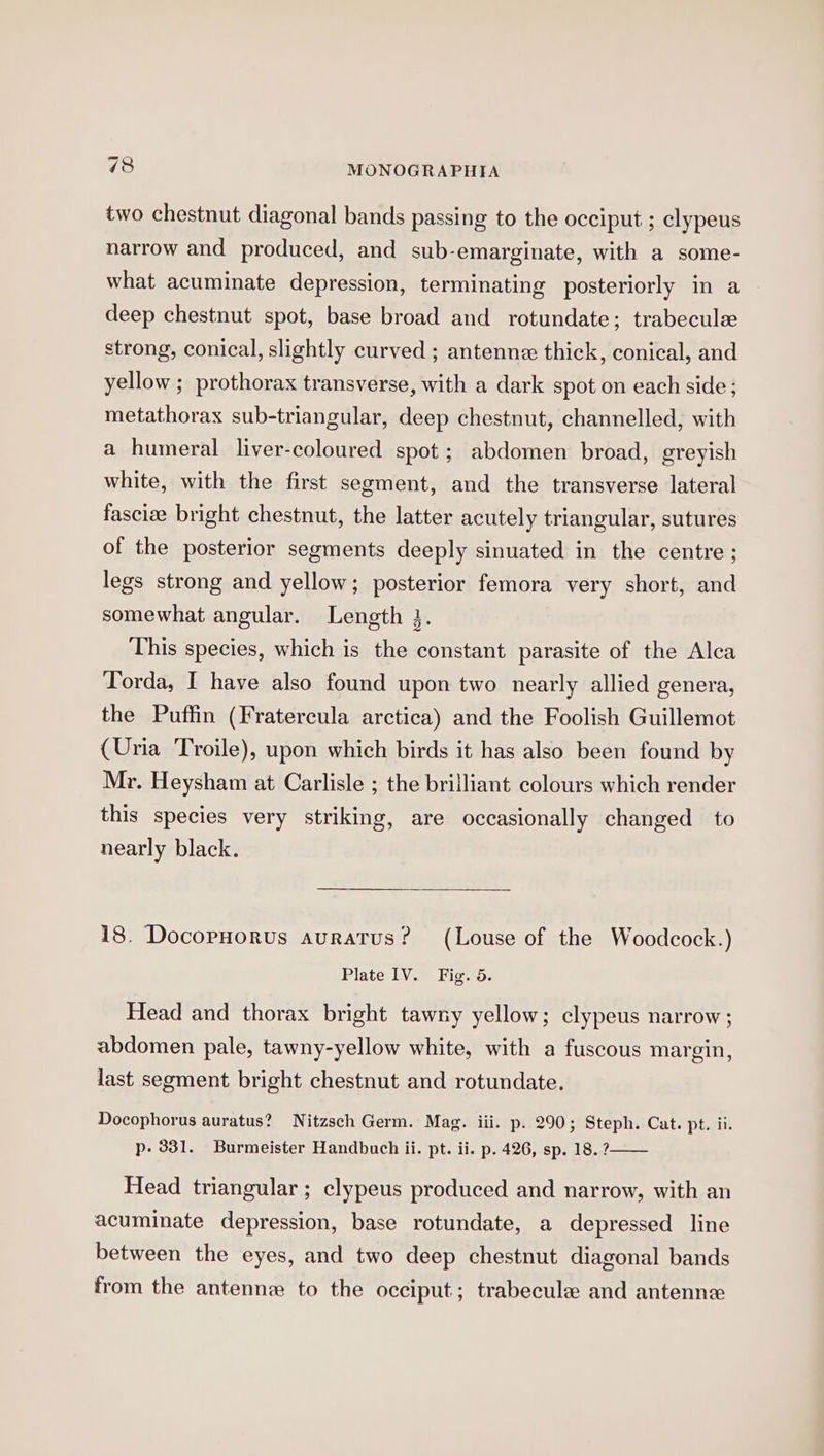 two chestnut diagonal bands passing to the occiput ; clypeus narrow and produced, and sub-emarginate, with a some- what acuminate depression, terminating posteriorly in a deep chestnut spot, base broad and rotundate; trabecule strong, conical, slightly curved ; antenne thick, conical, and yellow ; prothorax transverse, with a dark spot on each side; metathorax sub-triangular, deep chestnut, channelled, with a humeral liver-coloured spot ; abdomen broad, greyish white, with the first segment, and the transverse lateral fasciee bright chestnut, the latter acutely triangular, sutures of the posterior segments deeply sinuated in the centre ; legs strong and yellow; posterior femora very short, and somewhat angular. Length }. This species, which is the constant parasite of the Alca Torda, I have also found upon two nearly allied genera, the Puffin (Fratercula arctica) and the Foolish Guillemot (Uria Troile), upon which birds it has also been found by Mr. Heysham at Carlisle ; the brilliant colours which render this species very striking, are occasionally changed to nearly black. 18. Docopuorus auratus? (Louse of the Woodcock.) Plate IV. Fig. 5. Head and thorax bright tawny yellow; clypeus narrow ; abdomen pale, tawny-yellow white, with a fuscous margin, last segment bright chestnut and rotundate. Docophorus auratus? Nitzsch Germ. Mag. iii. p. 290; Steph. Cat. pt. in. p- 331. Burmeister Handbuch ii. pt. ii. p. 426, sp. 18. ?—— Head triangular ; clypeus produced and narrow, with an acuminate depression, base rotundate, a depressed line between the eyes, and two deep chestnut diagonal bands from the antenne to the occiput ; trabecule and antenne