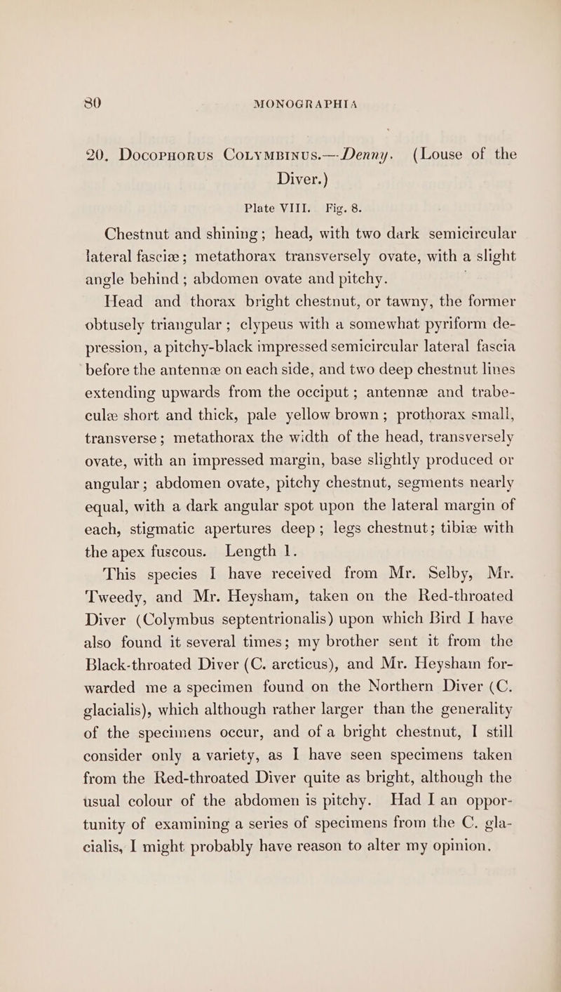 20. Docopnorus CotymBinus.—-Denny. (Louse of the Diver.) Plate VIII. ‘Fig. 8: Chestnut and shining; head, with two dark semicircular lateral fasciae; metathorax transversely ovate, with a slight angle behind ; abdomen ovate and pitchy. . Head and thorax bright chestnut, or tawny, the former obtusely triangular ; clypeus with a somewhat pyriform de- pression, a pitchy-black impressed semicircular lateral fascia before the antenne on each side, and two deep chestnut lines extending upwards from the occiput ; antenne and trabe- culz short and thick, pale yellow brown; prothorax small, transverse ; metathorax the width of the head, transversely ovate, with an impressed margin, base slightly produced or angular ; abdomen ovate, pitchy chestnut, segments nearly equal, with a dark angular spot upon the lateral margin of each, stigmatic apertures deep; legs chestnut; tibiz with the apex fuscous. Length 1. This species I have received from Mr. Selby, Mr. Tweedy, and Mr. Heysham, taken on the Red-throated Diver (Colymbus septentrionalis) upon which Bird I have also found it several times; my brother sent it from the Black-throated Diver (C. arcticus), and Mr. Heyshain for- warded me a specimen found on the Northern Diver (C. glacialis), which although rather larger than the generality of the specimens occur, and of a bright chestnut, I still consider only a variety, as I have seen specimens taken from the Red-throated Diver quite as bright, although the usual colour of the abdomen is pitchy. Had I an oppor- tunity of examining a series of specimens from the C. gla- cialis, I might probably have reason to alter my opinion,