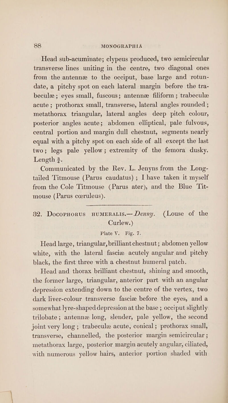 Head sub-acuminate; clypeus produced, two semicircular transverse lines uniting in the centre, two diagonal ones from the antenne to the occiput, base large and rotun- date, a pitchy spot on each lateral margin before the tra- beculee ; eyes small, fuscous; antennee filiform ; trabecule acute ; prothorax small, transverse, lateral angles rounded ; metathorax triangular, lateral angles deep pitch colour, posterior angles acute; abdomen elliptical, pale fulvous, central portion and margin dull chestnut, segments nearly equal with a pitchy spot on each side of all except the last two; legs pale yellow; extremity of the femora dusky. Length 3. Communicated by the Rev. L. Jenyns from the Long- tailed Titmouse (Parus caudatus) ; I have taken it myself from the Cole Titmouse (Parus ater), and the Blue Tit- mouse (Parus cceruleus). 32. DocopHorus HUMERALIS.—-Denny. (Louse of the Curlew.) Plate V. Fig. 7. Head large, triangular, brilliant chestnut ; abdomen yellow white, with the lateral fasciz acutely angular and pitchy black, the first three with a chestnut humeral patch. Head and thorax brilliant chestnut, shining and smooth, the former large, triangular, anterior part with an angular depression extending down to the centre of the vertex, two dark liver-colour transverse fascize before the eyes, and a somewhat lyre-shaped depression at the base ; occiput slightly trilobate ; antenne long, slender, pale yellow, the second joint very long ; trabecule acute, conical; prothorax small, transverse, channelled, the posterior margin semicircular ; metathorax large, posterior margin acutely angular, ciliated, with numerous yellow hairs, anterior portion shaded with