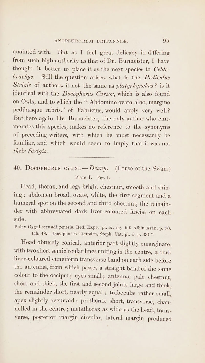 quainted with. But as I feel great delicacy in differing from such high authority as that of Dr. Burmeister, | have thought it better to place it as the next species to Ceble- brachys. Still the question arises, what is the Pediculus Strigis of authors, if not the same as platyrhynchus? is it identical with the Docophorus Cursor, which is also found on Owls, and to which the ‘‘ Abdomine ovato albo, margine pedibusque rubris,” of Fabricius, would apply very well? But here again Dr. Burmeister, the only author who enu- merates this species, makes no reference to the synonyms of preceding writers, with which he must necessarily be familiar, and which would seem to imply that it was not their Strigis. 40. DocopHorus cyGni.— Denny. (Louse of the Swan.) Plategi. Figs I; Head, thorax, and legs bright chestnut, smooth and shin- ing; abdomen broad, ovate, white, the first segment and a humeral spot on the second and third chestnut, the remain- der with abbreviated dark liver-coloured fascie on each side. Pulex Cygni secundi generis, Redi Expe. pl. ix. fig. inf. Albin Aran. p. 76. tab. 48.—Docophorus icterodes, Steph. Cat. pt. ii, p. 8812 Head obtusely conical, anterior part slightly emarginate, with two short semicircular lines uniting in the centre, a dark liver-coloured cuneiform transverse band on each side before the antennz, from which passes a straight band of the same colour to the occiput; eyes small; antenne pale chestnut, short and thick, the first and second joints large and thick, the remainder short, nearly equal ; trabecule rather small, apex slightly recurved ; prothorax short, transverse, chan- nelled in the centre; metathorax as wide as the head, trans- verse, posterior margin circular, lateral margin produced