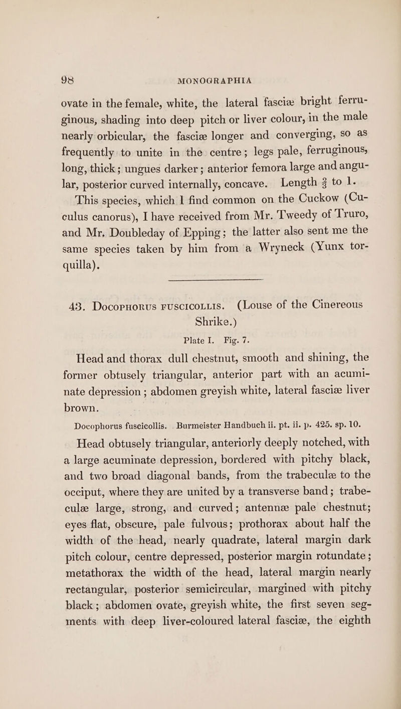 ovate in the female, white, the lateral fascia bright ferru- ginous, shading into deep pitch or liver colour, in the male nearly orbicular, the fasciee longer and converging, So as frequently to unite in the centre; legs pale, ferruginous, long, thick; ungues darker ; anterior femora large and angu- lar, posterior curved internally, concave. Length 3 to I. This species, which 1 find common on the Cuckow (Cu- culus canorus), I have received from Mr. Tweedy of Truro, and Mr, Doubleday of Epping; the latter also sent me the same species taken by him from a Wryneck (Yunx tor- quilla). 43. Docoruorus FusciIcoLLis. (Louse of the Cinereous Shrike.) Plate I. Fig. 7. Head and thorax dull chestnut, smooth and shining, the former obtusely triangular, anterior part with an acumi- nate depression ; abdomen greyish white, lateral fasciee liver brown. | Docophorus fuscicollis. . Burmeister Handbuch ii. pt. ii. p. 425. sp. 10. Head obtusely triangular, anteriorly deeply notched, with a large acuminate depression, bordered with pitchy black, and two broad diagonal bands, from the trabeculz to the occiput, where they are united by a transverse band; trabe- cule large, strong, and curved; antennz pale chestnut; eyes flat, obscure, pale fulvous; prothorax about half the width of the head, nearly quadrate, lateral margin dark pitch colour, centre depressed, posterior margin rotundate ; metathorax the width of the head, lateral margin nearly rectangular, posterior semicircular, margined with pitchy black ; abdomen ovate, greyish white, the first seven seg- ments with deep liver-coloured lateral fascize, the eighth