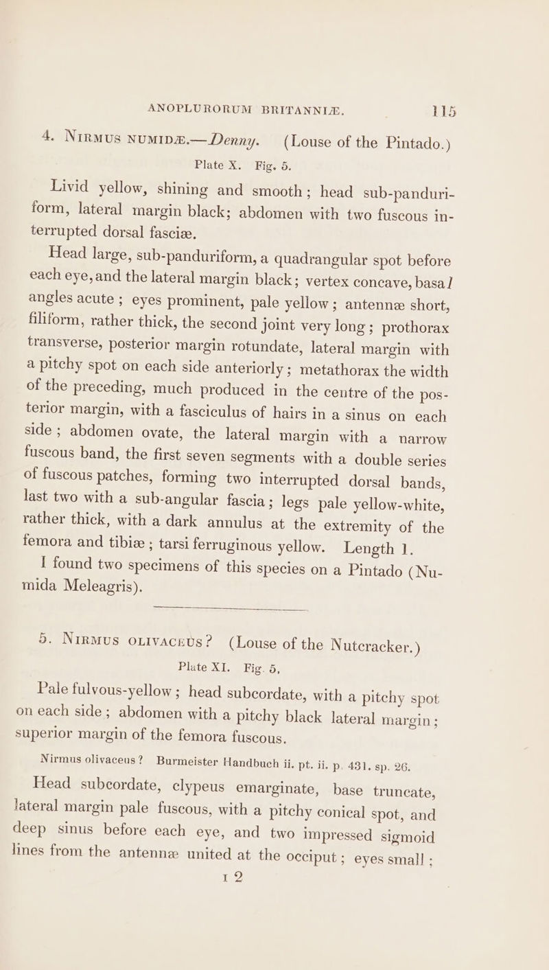 4. Nirmus NUMIDE.— Denny. (Louse of the Pintado. ) Plate Xi Big. ‘5, Livid yellow, shining and smooth; head sub-panduri- form, lateral margin black; abdomen with two fuscous in- terrupted dorsal fasciee. Head large, sub-panduriform, a quadrangular spot before each eye, and the lateral margin black; vertex concave, basa] angles acute ; eyes prominent, pale yellow ; antenne short, filiform, rather thick, the second joint very long; prothorax transverse, posterior margin rotundate, lateral margin with a pitchy spot on each side anteriorly ; metathorax the width of the preceding, much produced in the centre of the pos- terior margin, with a fasciculus of hairs in a sinus on each side ; abdomen ovate, the lateral margin with a narrow fuscous band, the first seven segments with a double series of fuscous patches, forming two interrupted dorsal bands, last two with a sub-angular fascia ; legs pale yellow-white, rather thick, with a dark annulus at the extremity of the femora and tibie ; tarsi ferruginous yellow. Length 1. I found two specimens of this species on a Pintado (Nu- mida Meleagris). 5. Nirmus outivacevs? (Louse of the Nutcracker. ) Plate XI. Fig. 5, Pale fulvous-yellow ; head subcordate, with a pitchy spot on each side; abdomen with a pitchy black lateral margin ; superior margin of the femora fuscous. Nirmus olivaceus? Burmeister Handbuch ii. pt. ii. p, 431. sp. 26. Head subcordate, clypeus emarginate, base truncate, lateral margin pale fuscous, with a pitchy conical spot, and deep sinus before each eye, and two impressed sigmoid lines from the antenne united at the occiput ; eyes small : 12