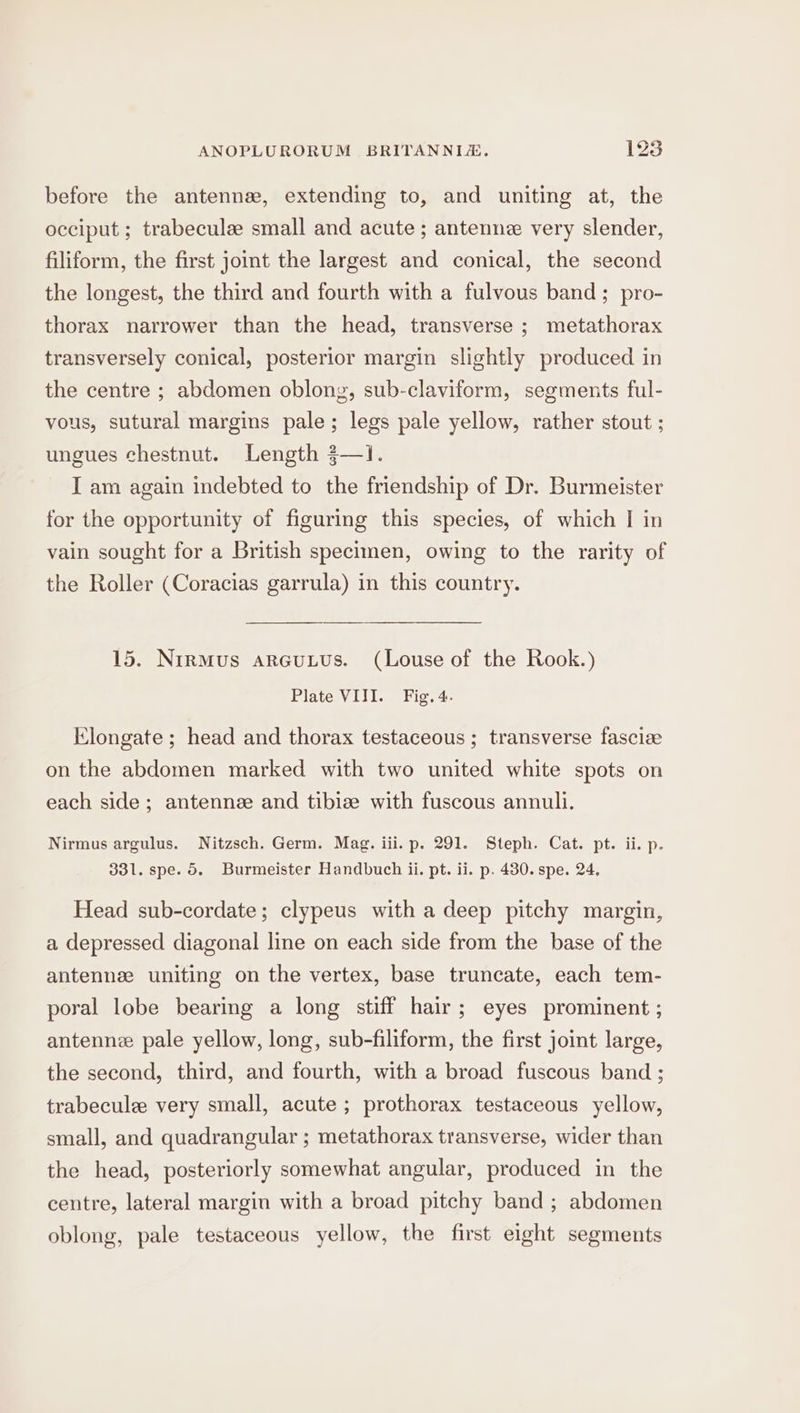 before the antennee, extending to, and uniting at, the occiput ; trabeculee small and acute ; antenne very slender, filiform, the first joint the largest and conical, the second the longest, the third and fourth with a fulvous band; pro- thorax narrower than the head, transverse ; metathorax transversely conical, posterior margin slightly produced in the centre ; abdomen oblong, sub-claviform, segments ful- vous, sutural margins pale; legs pale yellow, rather stout ; ungues chestnut. Length 3—1. I am again indebted to the friendship of Dr. Burmeister for the opportunity of figuring this species, of which I in vain sought for a British specimen, owing to the rarity of the Roller (Coracias garrula) in this country. 15. Nirmus areuuus. (Louse of the Rook.) Plate VIII. Fig. 4. Elongate ; head and thorax testaceous ; transverse fascize on the abdomen marked with two united white spots on each side; antennee and tibiee with fuscous annuli. Nirmus argulus. Nitzsch. Germ. Mag. iii. p. 291. Steph. Cat. pt. ii. p. 331. spe. 5. Burmeister Handbuch ii. pt. ii. p. 430. spe. 24, Head sub-cordate; clypeus with a deep pitchy margin, a depressed diagonal line on each side from the base of the antennee uniting on the vertex, base truncate, each tem- poral lobe bearing a long stiff hair; eyes prominent ; antenne pale yellow, long, sub-filiform, the first joint large, the second, third, and fourth, with a broad fuscous band ; trabecule very small, acute ; prothorax testaceous yellow, small, and quadrangular ; metathorax transverse, wider than the head, posteriorly somewhat angular, produced in the centre, lateral margin with a broad pitchy band ; abdomen oblong, pale testaceous yellow, the first eight segments