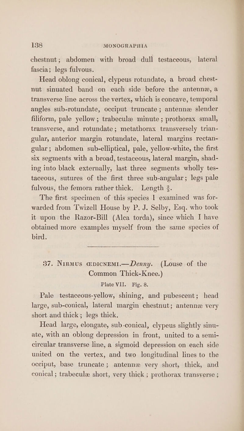 chestnut; abdomen with broad dull testaceous, lateral fascia; legs fulvous. Head oblong conical, clypeus rotundate, a broad chest- nut sinuated band on each side before the antenne, a transverse line across the vertex, which is concave, temporal angles sub-rotundate, occiput truncate ; antenne slender filiform, pale yellow; trabeculee minute ; prothorax small, transverse, and rotundate; metathorax transversely trian- gular, anterior margin rotundate, lateral margins rectan- gular; abdomen sub-elliptical, pale, yellow-white, the first six segments with a broad, testaceous, lateral margin, shad- ing into black externally, last three segments wholly tes- taceous, sutures of the first three sub-angular; legs pale fulvous, the femora rather thick. Length 3. The first specimen of this species 1 examined was for- warded from Twizell House by P. J. Selby, Esq. who took it upon the Razor-Bill (Alca torda), since which I have obtained more examples myself from the same species of bird. 57. Nirmus mpicnemi.—Denny. (Louse of the Common Thick-Knee.) Plate VII. Fig. 8. Pale testaceous-yellow, shining, and pubescent; head large, sub-conical, lateral margin chestnut; antenne very short and thick; legs thick. Head large, elongate, sub-conical, clypeus slightly sinu- ate, with an oblong depression in front, united to a semi- circular transverse line, a sigmoid depression on each side united on the vertex, and two longitudinal lines to the occiput, base truncate; antennz very short, thick, and conical ; trabecule short, very thick ; prothorax transverse ;