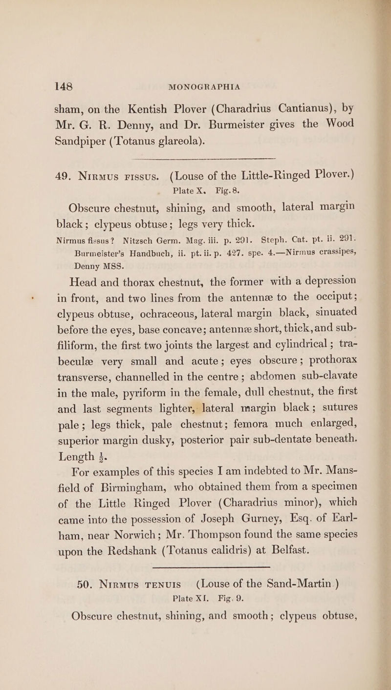 sham, on the Kentish Plover (Charadrius Cantianus), by Mr. G. R. Denny, and Dr. Burmeister gives the Wood Sandpiper (Totanus glareola). 49. Nrrmus Fissus. (Louse of the Little-Ringed Plover.) Plate X. Fig.8. Obscure chestnut, shining, and smooth, lateral margin black; clypeus obtuse; legs very thick. Nirmus fissus? Nitzsch Germ. Mag. iii. p. 291. Steph. Cat. pt. ii. 291. Burmeister’s Handbuch, ii. pt.ii.p. 427. spe. 4.—Nirmus crassipes, Denny MSS. Head and thorax chestnut, the former with a depression in front, and two lines from the antenne to the occiput; clypeus obtuse, ochraceous, lateral margin black, sinuated before the eyes, base concave; antenne short, thick, and sub- filiform, the first two joints the largest and cylindrical ; tra- becule very small and acute; eyes obscure; prothorax transverse, channelled in the centre ; abdomen sub-clavate in the male, pyriform in the female, dull chestnut, the first and last segments lighter, lateral margin black; sutures pale ; legs thick, pale chestnut; femora much enlarged, superior margin dusky, posterior pair sub-dentate beneath. Length 3. For examples of this species I am indebted to Mr. Mans- field of Birmingham, who obtained them from a specimen of the Little Ringed Plover (Charadrius minor), which came into the possession of Joseph Gurney, Esq. of Earl- ham, near Norwich; Mr. Thompson found the same species upon the Redshank (Totanus calidris) at Belfast. 50. Nrrmus Tenuis (Louse of the Sand- Martin ) Plate XI. Fig. 9. Obscure chestnut, shining, and smooth; clypeus obtuse, ’