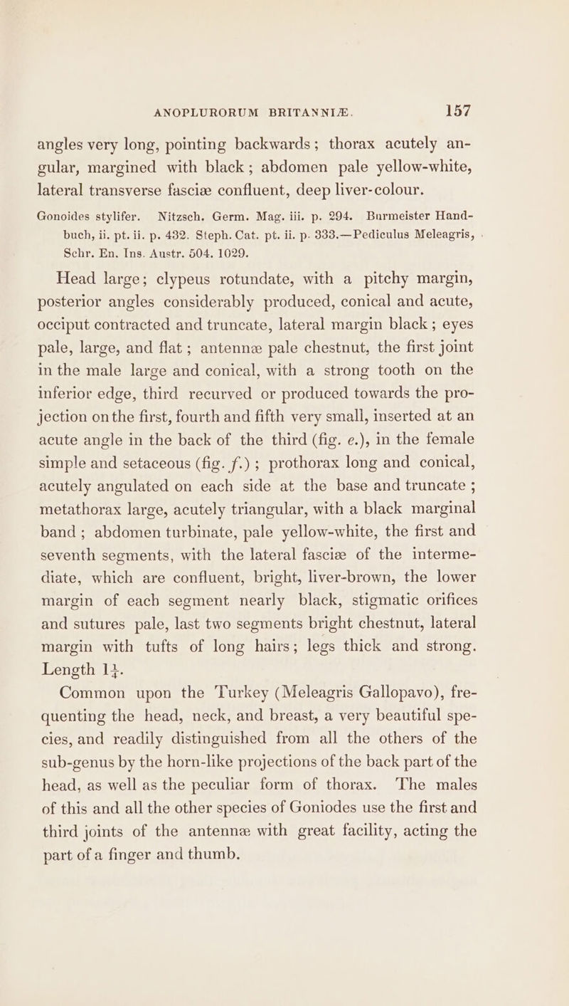 angles very long, pointing backwards; thorax acutely an- gular, margined with black; abdomen pale yellow-white, lateral transverse fascize confluent, deep liver-colour. Gonoides stylifer. Nitzsch. Germ. Mag. iii. p. 294. Burmeister Hand- buch, ii. pt. ii. p. 482. Steph. Cat. pt. ii. p. 333.—Pediculus Meleagris, . Schr. En. Ins. Austr. 504. 1029. Head large; clypeus rotundate, with a pitchy margin, posterior angles considerably produced, conical and acute, occiput contracted and truncate, lateral margin black ; eyes pale, large, and flat ; antennz pale chestnut, the first joint in the male large and conical, with a strong tooth on the inferior edge, third recurved or produced towards the pro- jection onthe first, fourth and fifth very small, inserted at an acute angle in the back of the third (fig. e.), in the female simple and setaceous (fig. f.) ; prothorax long and conical, acutely angulated on each side at the base and truncate 5 metathorax large, acutely triangular, with a black marginal band ; abdomen turbinate, pale yellow-white, the first and seventh segments, with the lateral fascize of the interme- diate, which are confluent, bright, liver-brown, the lower margin of each segment nearly black, stigmatic orifices and sutures pale, last two segments bright chestnut, lateral margin with tufts of long hairs; legs thick and strong. Length 14. Common upon the Turkey (Meleagris Gallopavo), fre- quenting the head, neck, and breast, a very beautiful spe- cies, and readily distinguished from all the others of the sub-genus by the horn-like projections of the back part of the head, as well as the peculiar form of thorax. The males of this and all the other species of Goniodes use the first and third joints of the antenne with great facility, acting the part of a finger and thumb.