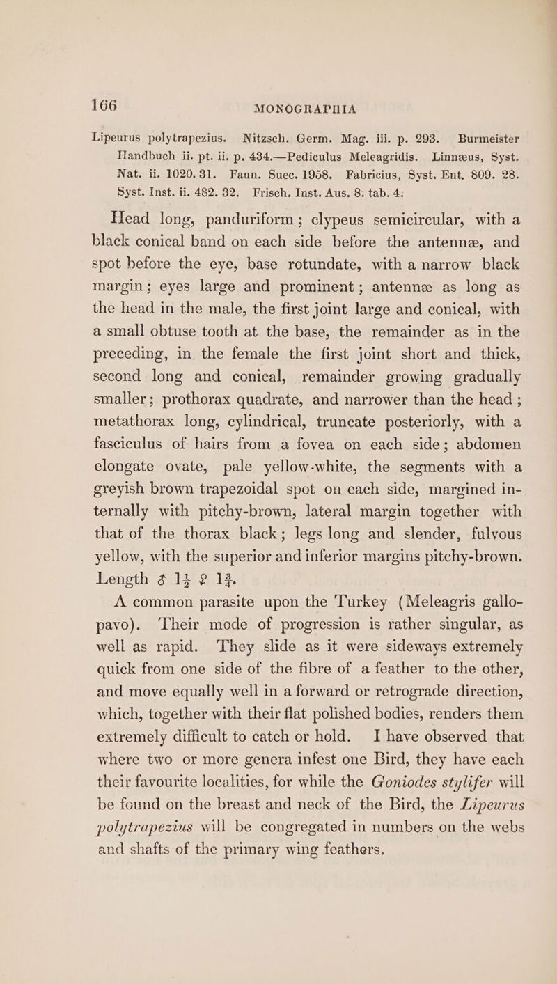 Lipeurus polytrapezius. Nitzsch. Germ. Mag. iii. p. 293. Burmeister Handbuch ii. pt. ii. p. 434.—Pediculus Meleagridis. Linnzeus, Syst. Nat. ii. 1020.31. Faun. Suec. 1958. Fabricius, Syst. Ent, 809. 28. Syst. Inst. ii. 482. 32. Frisch. Inst. Aus. 8: tab. 4: Head long, panduriform; clypeus semicircular, with a black conical band on each side before the antenne, and spot before the eye, base rotundate, with a narrow black margin; eyes large and prominent; antenne as long as the head in the male, the first joint large and conical, with a small obtuse tooth at the base, the remainder as in the preceding, in the female the first joint short and thick, second long and conical, remainder growing gradually smaller; prothorax quadrate, and narrower than the head ; metathorax long, cylindrical, truncate posteriorly, with a fasciculus of hairs from a fovea on each side; abdomen elongate ovate, pale yellow-white, the segments with a greyish brown trapezoidal spot on each side, margined in- ternally with pitchy-brown, lateral margin together with that of the thorax black; legs long and slender, fulvous yellow, with the superior and inferior margins pitchy-brown. Length ¢ 14 2 14. A common parasite upon the Turkey (Meleagris gallo- pavo). ‘Their mode of progression is rather singular, as well as rapid. ‘They slide as it were sideways extremely quick from one side of the fibre of a feather to the other, and move equally well in a forward or retrograde direction, which, together with their flat polished bodies, renders them extremely difficult to catch or hold. I have observed that where two or more genera infest one Bird, they have each their favourite localities, for while the Goniodes stylifer will be found on the breast and neck of the Bird, the Lipeurus polytrapezius will be congregated in numbers on the webs and shafts of the primary wing feathers.