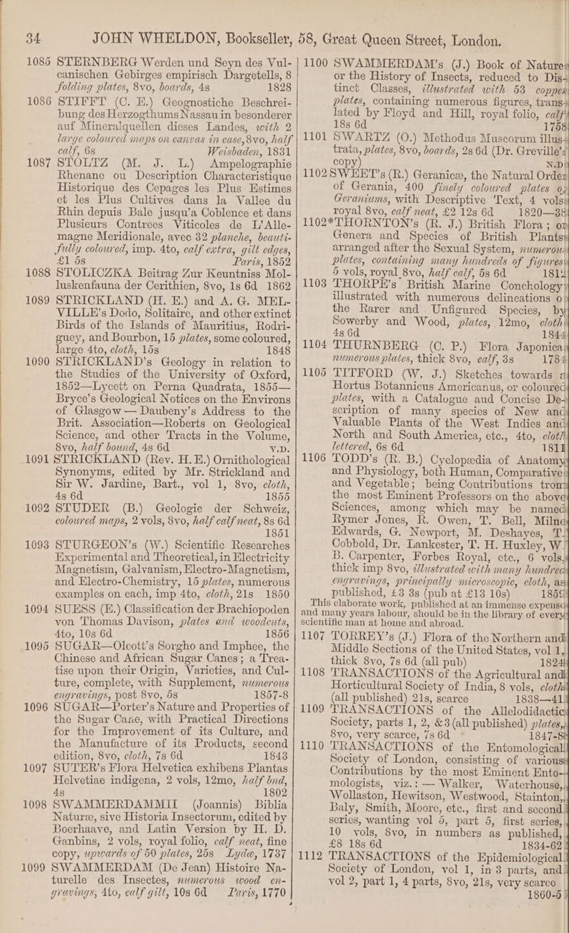 1086 STERNBERG Werden und Seyn des Vul- canischen Gebirges empirisch Dargetells, 8 Jolding plates, 8vo, boards, 48 1828 STIFFT (C. EH.) Geognostiche Beschrei- bung des Herzogthums Nassau in besonderer auf Mineralquellen dieses Landes, with 2 large coloured maps on canvas in ease, 8vo, half calf, 68 Weisbaden, 1831 1087 STOLTZ (M. J. 1.) Ampelographie Rhenane ou Description Characteristique Historique des Cepages les Plus Estimes et les Plus Cultives dans Ja Vallee du Rhin depuis Bale jusqu’a Coblence et dans Plusieurs Contrees Viticoles de L’Alle- magne Meridionale, avec 32 planche, beauti- Sully colowred, imp. 4to, calf extra, gilt edges, £1 58 Paris, 1852 1088 STOLICZKA Beitrag Zur Keuntniss Mol- luskenfauna der Cerithien, 8vo, 1s 6d 1862 1089 STRICKLAND (H. E.) and A. G. MEL- VILLE’s Dodo, Solitaire, and other extinct Birds of the Islands of Mauritius, Rodri- guey, and Bourbon, 15 plates, some coloured, large 4to, cloth, 15s 1848 1090 STRICKLAND’s Geology in relation to the Studies of the University of Oxford, 1852—Lycett on Perna Quadrata, 1855— Bryce’s Geological Notices on the Environs of Glasgow — Daubeny’s Address to the Brit. Association—Roberts on Geological Science, and other Tracts in the Volume, Svo, half bound, 48 6d Vib. 1091 STRICKLAND (Rev. H. E.) Ornithological Synonyms, edited by Mr. Strickland and Sir W. Jardine, Bart., vol 1, 8vo, cloth, 43 6d 1856 1092 STUDER (B.) Geologie der Schweiz, coloured maps, 2 vols, 8vo, half calf neat, 8s 6d 1851 1098 STURGEHON’s (W.) Scientific Researches Experimental and Theoretical, in Electricity Magnetism, Galvanism, Hlectro-Magnetism, and Hlectro-Chemistry, 15 plates, numerous examples on each, imp 4to, cloth,21s 1850 1094 SUESS (E.) Classification der Brachiopoden von Thomas Davison, plates and woodcuts, 4to, 10s 6d 1856 1095 SUGAR—Olecott’s Sorgho and Imphee, the Chinese and African Sugar Canes; a Trea- tise upon their Origin, Varieties, and Cul- ture, complete, with Supplement, swmerous engravings, post 8vo, 58 1857-8 1096 SUGAR—Porter’s Nature and Properties of the Sugar Cane, with Practical Directions for the Improvement of its Culture, and the Manufacture of its Products, second edition, 8vo, cloth, 7s 6d 1843 1097 SUTER’s Flora Helvetica exhibens Plantas Helvetiae indigena, 2 vols, 12mo, half dnd, 48 1802 1098 SWAMMERDAMMILE (Joannis) Biblia Nature, sive Historia Insectorum, edited by Boerhaave, and Latin Version by H. D. Ganbins, 2 vols, royal folio, calf neat, fine copy, upwards of 50 plates, 26s Lyde, 1737 1099 SWAMMERDAM (De Jean) Histoire Na- turelle des Insectes, memerous wood en- gravings, Ato, calf gilt, 10s6d Paris, 1770 1086 1100 SWAMMERDAM’s (J.) Book of Natured or the History of Insects, reduced to Dis- tinct Classes, illustrated with 53 copper plates, containing numerous figures, trans lated by Floyd and Hill, royal folio, calf 18s 6d 1758 SWARTZ (0.) Methodus Muscorum illus trata, plates, 8vo0, boards, 286d (Dr. Greville’? copy) N.DI 1102 SWEET’s (R.) Geranice, the Natural Ordex of Gerania, 400 finely coloured plates 0; Geraniums, with Descriptive Text, 4 vols: royal 8vo, calf neat, £2 128 6d 1820—3&amp; 1102*THORNTON’s (R. J.) British Flora; on Genera and Species of British Plants arranged after the Sexual System, numerous plates, containing many hundreds of figures: 5 vols, royal 8vo, half calf, 5s 6d 1812 1103 THORPE’s British Marine Conchology: illustrated with numerous delineations o: the Rarer and Unfigured Species, by Sowerby and Wood, plates, 12mo, cloth 43 6d 1844 1104 THURNBERG (C. P.) Flora Japonica; numerous plates, thick 8vo, calf, 3s 1784 TITFORD (W. J.) Sketches towards a Hortus Botannicus Americanus, or coloured plates, with a Catalugue aud Concise De scription of many species of New and Valuable Plants of the West Indies and. North and South America, etc., 4to, cloti lettered, 68 6d 1811 1106 TODD’s (R. B.) Cyclopedia of Anatomy and Physiology, both Human, Comparative: and Vegetable; being Contributions trom the most Eminent Professors on the above Sciences, among which may be named Rymer Jones, R. Owen, T. Bell, Milne Hidwards, G. Newport, M. Deshayes, T, Cobbold, Dr. Lankester, T. H. Huxley, W. B. Carpenter, Forbes Royal, ecte., 6 vols. thick imp 8vo, ¢lustrated with many hundrea engravings, principally microscopic, cloth, as published, £3 3s (pub at £13 10s) 185¢ This elaborate work, published at an immense expense and many years labour, should be in the library of every Scientific man at home and abroad. 1107 TORREY’s (J.) Flora of the Northern and Middle Sections of the United States, vol 1, thick 8vo, 7s 6d (all pub) 1824 1108 TRANSACTIONS of the Agricultural and Horticultural Society of India, 8 vols, clothi (all published) 21s, scarce 1838—41. 1109 TRANSACTIONS of the Allelodidactic Society, parts 1, 2, &amp;3 (all published) plates, Syo, very scarce, 7s 6d 1847-88 1110 TRANSACTIONS of the Entomological Society of London, consisting of varioust Contributions by the most Eminent Ento-: mologists, viz.: — Walker, Waterhouse,, Wollaston, Hewitson, Westwood, Stainton, Baly, Smith, Moore, etc., first and second, series, wanting vol 5, part 6, first series, 10 vols, 8vo, in numbers as published, £8 18s 6d 1834-62 1112 TRANSACTIONS of the Epidemiological. Society of London, vol 1, in 8 parts, and. vol 2, part 1, 4 parts, 8vo, 21s, very scarce 1860-6 5 12 On 1106