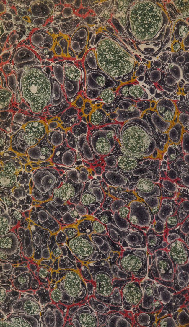 No text description is available for this image