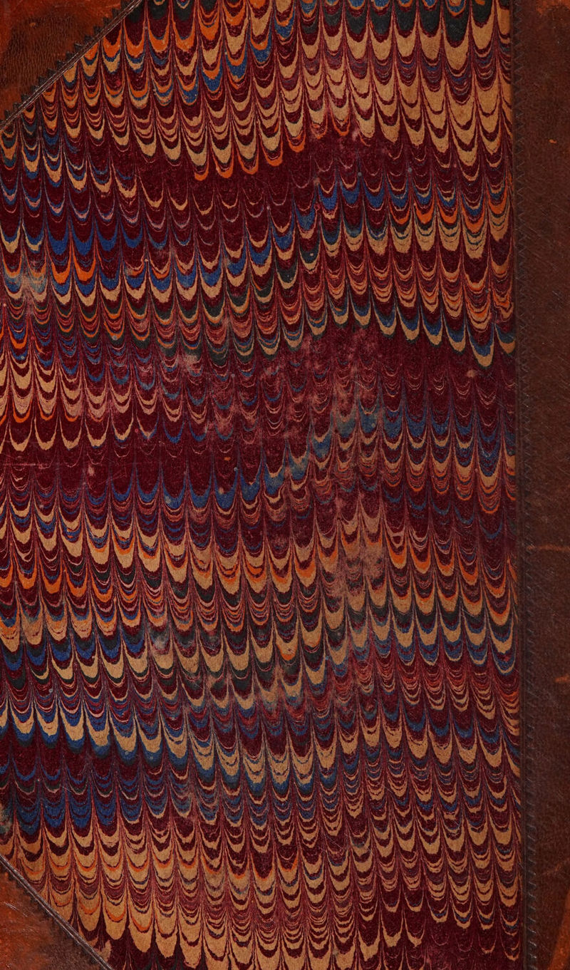 No text description is available for this image