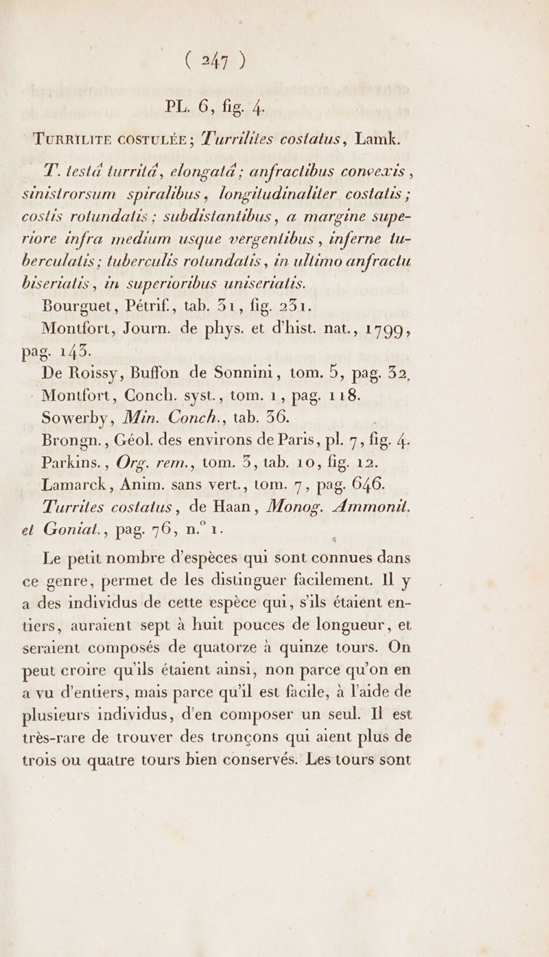 (3m ) PL O AUS 4 TURRILITE COSTULÉE ; T'urrilites costatus, Lamk. T' test& turrité, elongal& ; anfractibus convexis , sinistrorsum spiralibus, longiludinaliter costatis ; coslis rolundalis : subdistantibus, « margine supe- riore infra medium usque RTE 2 inferne lu- berculalis ; tuberculis rotundatrs , in ullimo anfractu bisertalis, in superioribus uniseriatrs. Bourguet, Pétrif., tab. 31, fig. 231. Montfort, Journ. de phys. et d’hist. nat., 1709, pag. 145. De Roissy, Buffon de Sonnini, tom. D, pag. 32, : Montfort, Conch. syst., tom. 1, pag. 118. Sowerby, Min. Conch., tab. 56. Brongn., Géol. des environs de Paris, pl. 7, fig. 4. Partir. , Org. rem., tom. 5, tab. 10, fig. 12. Lamarck, Anim. sans vert., tom. 7, pag. 046. Turrites costatus, de Haan, Monog. Ammonit. et Goniat., pag. 76, n°1 Le petit nombre d'espèces qui sont connues dans ce genre, permet de les disünguer facilement. Il y a des individus de cette espèce qui, s'ils étaient en- üers, auraient sept à huit pouces de longueur, et seraient composés de quatorze à quinze tours. On peut croire qu'ils étaient ainsi, non parce qu’on en a vu d’entiers, mais parce qu'il est facile, à l’aide de plusieurs individus, d'en composer un seul. Il est très-rare de trouver des tronçons qui aient plus de trois ou quatre tours bien conservés. Les tours sont