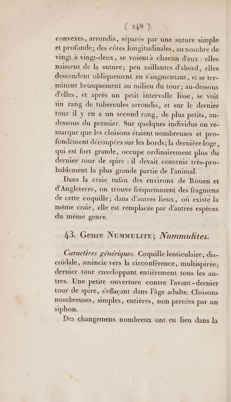 convexes, arrondis, séparés par une suture simple et profonde; des côtes longitudinales, au nombre de vingt à vingt-deux, se voientà chacun d’eux : elles naissent de la suture; peu saillantes d’abord, elles descendent obliquement en s'augmentant, ei se ter- minent brusquement au milieu du tour; au-dessous d'elles, et après un peut intervalle lisse, se voit un rang de tubercules arrondis, et sur le dernier tour 1l ÿ en a un second rang, de plus peuts, au- dessous du premier. Sur quelques individus on re- marque que les cloisons étaient nombreuses et pro- fondément découpées sur les bords; la dernière loge, qui est fort grande, occupe ordinairement plus du dernier tour de spire :1l devait contenir très-pro- bablement la plus grande parue de l'animal. Dans la craie tufau des environs de Rouen et d'Angleterre, on trouve fréquemment des fragmens de cette coquille; dans d’autres lieux, où existe la même craie, elle est remplacée par d’autres espèces du même genre. 43. Genre NuuuuziTEe; Nummulites. Caractères génériques. Coquille lenticukaire, dis- coïdale, amincie vers la circonférence, muluspirée ; dermer tour enveloppant entièrement tous les au- tres. Une petite ouverture contre l'avant - dernier tour de spire, s’effaçant dans l’âge adulte. Cloisons nonibreuses, simples, entières, non percées par un siphon. Des changemens nombreux ont eu lieu dans la