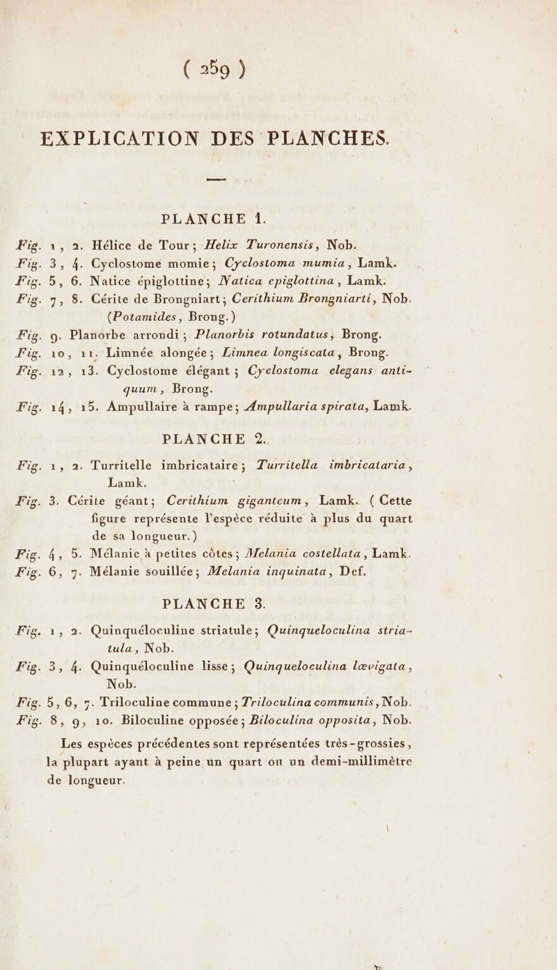 EXPLICATION DES PLANCHES. PLANCHE 1. (Potamides, Brong.) quum, Brong. PLANCHE 2. Lamk. figure représente l'espèce réduite à plus du quart de sa longueur.) 4, 5. Mélanie à petites côtes; Melania costellata, Lamk. PLANCHE 8. tula , Nob. Nob. . 8, 9, 10. Biloculine opposée; Biloculina opposita, Nob. Les espèces précédentes sont représentées très-grossies, la plupart ayant à peine un quart on un demi-millimètre de longueur.