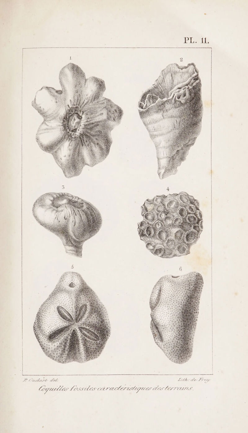 2 Cucdart del. dith de Let. Cogurtle SLOSSÈLES CA TAOETISUGUES CES lEiTUTS.