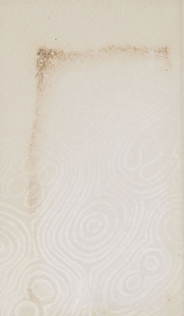 digitised image 2