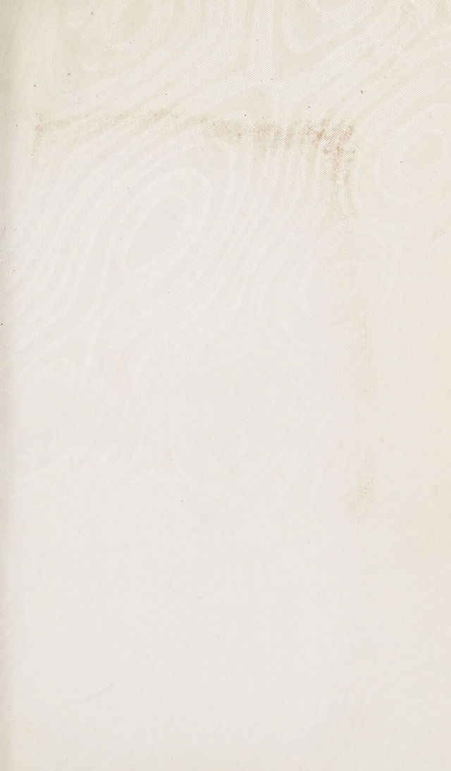 digitised image 3