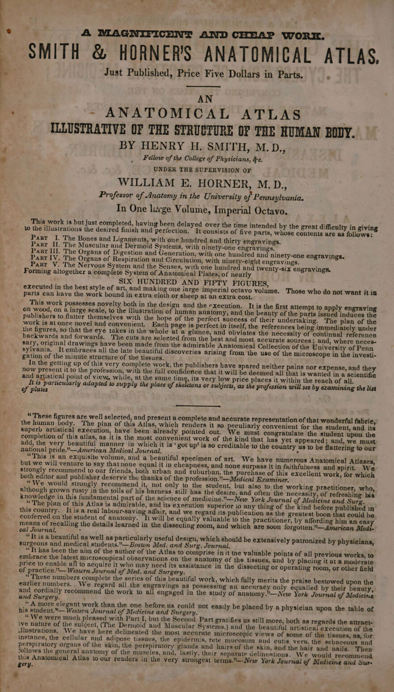 +. 4 MAGNIFICENT AND CHEAP WORK. Just Published, Price Five Dollars in Parts. : AN ~ ANATOMICAL ATLAS ILLUSTRATIVE OF THE STRUCTURE OF THE HUMAN BODY. BY HENRY H. SMITH, M.D., Fellow of the College of Physicians, &amp;c. UNDER THE SUPERVISION OF WILLIAM E. HORNER, M.D., Professor of Anatomy in the University of Pennsylvania. In One large Volume, Imperial Octavo. This work 1s but just completed, having been delayed over the time intended by the great difficulty in giving to the illustrations the desired finish and perfection. It consists of five parts, whose contents are as follows: Part I. The Bones and Ligaments, with one hundred and thirty engravings. Part If. The Muscular and Dermoid Systems, with ninety-one engravings. Part HI. The Organs of Digestion and Generation, with one hundred and ninety-one engravings. Part IV. The Organs of Respiration and Circulation, with ninety-eight engravings. Part V. The Nervous System and the Senses, with one hundred and twenty-six engravings, Forming altogether a complete System of Anatomical Plates, of nearly SIX HUNDRED AND FIFTY FIGURES, executed in the best style of art, and making one iarge imperial octavo volume. Those who do not want it in parts can have the work bound in extra cloth or sheep at an extra cost. This work possesses novelty both in the design and the execution. It is the first attempt to apply engraving on wood, on a large scale, to the illustration of human anatomy, and the beauty of the parts issued induces the publishers to flatter themselves with the hope of the perfect success of their undertaking. The plan of the work is at once novel and convenient. Each page is perfect in itself, the references being immediately under In the getting up of this very complete work, the publishers have spared neither pains nor expense, and they now present it to the gohan, with the full confidence that it will be deemed all that is wanted in a scientific view, while, at the same time, its very low price places it within the reach of all. tis particularly adapted to supply the place of skeletons or subjects, as the profession will see by examining the list “These figures are well selected, and present a complete and accurate representation of that wonderful fabrie, the human body. The plan of this Atlas, which renders it so peculiarly convenient for the student, and its superb artistical execution, have been already pointed out. We must congratulate the student upon the completion of this atlas, as itis the most convenient work of the kind that has yet appeared; and, we must add, the very beautiful manner in which it is ‘got up’ is so creditable to the country us to be flattering to our national pride.”—American Medical Journal.  . “This is an exquisite volume, and a beautiful specimen of art. We have numerous Anatomical Atlases, but we will venture to say that none equal it in cheapness, and none surpass it in faithfulness and spirit We strongly recommend to our friends, both urban and suburban, the purchase of this excellent work, for which both editor and publisher deserve the thanks of the profession.” —Medical Examiner. “We would strongly recommend it, not only to the student, but also to the working practitioner, who, although grown rusty in the toils of his harness. still has the desire, and often the necessity, of refreshing his knowledge in this fundamental part of the science of medicine.°—New York Journal of Medicine and Surg. “The plan of this Atlas is admirable, and its execution superior io any thing of the kind before ae m this country. Itis a real labour-saving affair, and we regard its publication as the greatest boon that could be conferred on the student of anatomy. It will be equally valuable to the practitioner, by affording him am easy means of recalling the details learned in the dissecting room, and which are soon forgotten.— American Medi- cal Journal, ‘ “Tt is a beautiful as well as particularly useful design, which should be extensively patronized by physicians, surgeons and medical students.”—Boston Med. and Surg. Journal, “Tt has been the aim of the author of the Atlas to comprise in it the valuable points of all previous works, to embrace the latest microscopical observations on the anatomy of the tissues, and by placing it at a moderate of practice.” — Western Journal of Med. and Surgery. “These numbers complete the series of this beautiful work, which fully merits the praise bestowed upon the earlier numbers. We regard all the en avings as possessing an accuracy only equalled by their beauty, and cordially recommend the work to al engaged in the study of anatomy.”—New York Journal of Medicine and Surgery. ’ 5+ A shee ate ant work than the one before. us conld not easily be placed by a physician upon the table of his student.— Western Journal of Medicine and Surgery. “We were much pleased with Part I, but the Second Part gratifies us stil] more, both as regards the attraet- ive nature of the subject, (The Dermoid and Muscular Systems,) and the beautiful artistical execution of the -llustrations. We have here delineated the most accurate mnicroseopic views of some of the tissues, as, for instance, the cellular and adipose tissues, the epidermis, rete mucosum and cutis vera, the sebaceous and perspiratory organs of the skin, the perspiratory glunds and hairs of the skin, and the hair and nails. Then follows the general anatomy of the muscles, and, lastly, their separate delineations. We would recommend this Anatomical Atlas to our readers in the very strongest terms.”—-New York Journal of Medicine and Sur- gery.