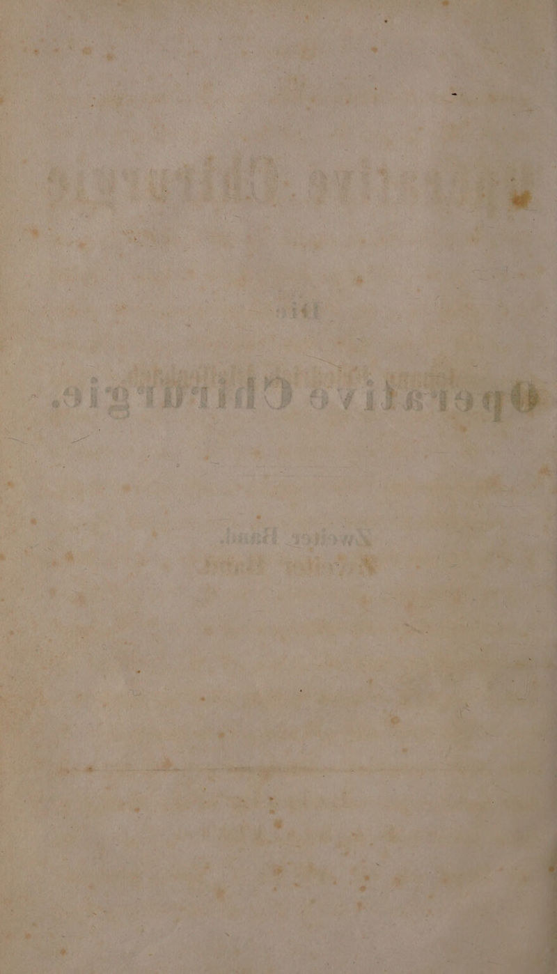 LIU u % T H 3 ar 5 UM f a en YaD Rd, 7 POAR ER Bar inne Ehe ee P as f ’