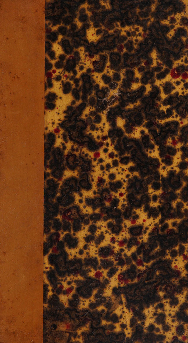 digitised image 1