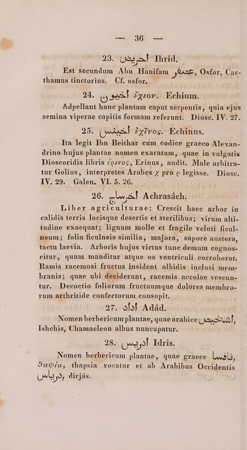 — 23. às Ihrid, Est secundum Abu Hanifam Pes, Osfor, Car- thamus tinctorius. Cf. osfor, 24. ( au] Furor, Echium. Adpellant hanc plantam caput serpentis, quia ejus semina viperae capitis formam referunt. Diosc. IV. 97, 25; VES) &amp;xivog. Echinus. Ita legit Ibn Beithar cum codice graeco Alexan- drino hujus plantae nomen exaratum, quae in vulgatis Dioscoridis libris ?92voc, Erinus, audit. Male arbitra- tur Golius, interpretes Arabes 7» pro Q legisse. Diosc. IV. 29. Galen, VI. 5. 26. ges Achrasách. Liber Mo e Crescit haec arbor in calidis terris locisque desertis et sterilibus; virum alti- tudine exaequat; lignum molle et fragile veluti ficul- neum; folia ficulneis similia, majora, sapore austera, tactu laevia. . Arboris hujus virtus tunc demum cognos- citur, quum manditur atque os ventriculi corroborat. BMamis racemosi fructus insident albidis inclusi mem- branis; quae ubi deciderunt, racemis accolae vescun- tur. Decoctio foliorum fructuumque dolores membro- rum arthritide confectorum consopit. 27. sa] Adád. Nomen berbericum plantae, quae arabice ( Xaaz— dh Ishchis, Chamaeleon albus nuncupatur. 28. V Idris. Nomen berbericum plantae, quae graece ORI 2uVé«, thapsia vocatur et ab Arabibus dress RM Qe dirjás.