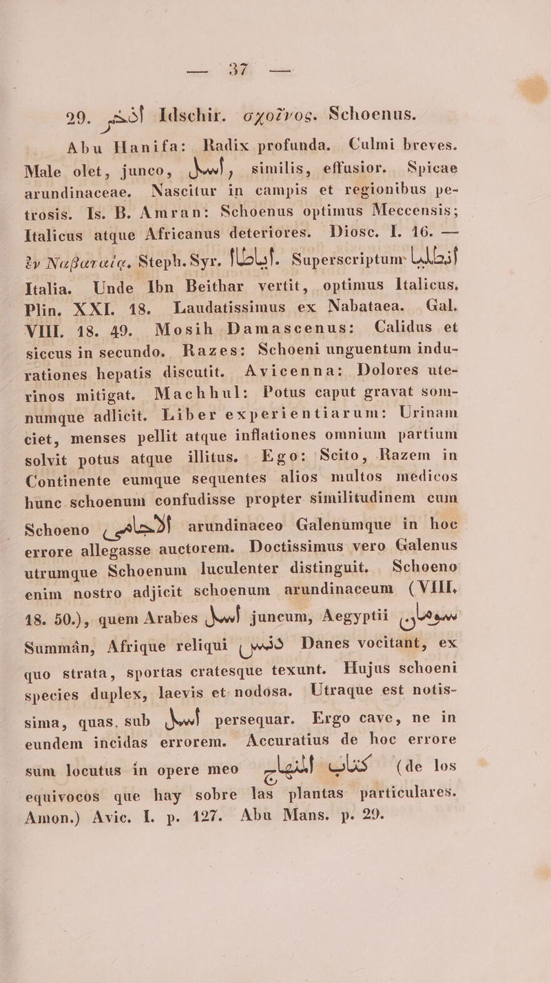 — 37 — 29. j53 Idschir. 6702voc. Schoenus. Abu Hanifa: Hadix profunda. | Culmi breves. Male olet, junco, Nel, similis, effusior. 5picae arundinaceae, Nascitur in campis et regionibus pe- trosis. Is. B. Amran: Schoenus optimus Meccensis; Italicus atque. Africanus deteriores. Diosc. L 16. — iv Nagoarotq, Steph. Syr. JT R)R Superscriptum: nU Italia. Unde Ibn Beithar vertit, optimus ltalicus, Plin. XXL 48. Laudatissimus ex Nabataea. | Gal. VIIL 48. 49. Mosih Damascenus: Calidus et siccus in secundo. Razes: Schoeni unguentum indu- rationes hepatis discutit. Avicenna: Dolores ute- vinos mitigat. Machhul: Potus caput gravat som- numque adlicit. Liber experientiarum: Urinam ciet, menses pellit atque inflationes omnium partium solvit potus atque illitus. Ego: Scito, Hazem in Continente eumque sequentes alios multos medicos hunc schoenum confudisse propter similitudinem cum Schoeno PV arundinaceo Galenumque in hoc errore allegasse auctorem. Doctissimus vero Galenus utrumque Schoenum luculenter distinguit, | Schoeno enim nostro adjicit schoenum arundinaceum (VIII, 48. 50.), quem Arabes Nl juncum, Aegyptii (Quse Summán, Afrique reliqui (NS Danes vocitant, ex quo strata, sportas cratesque texunt. Hujus schoeni species duplex, laevis et nodosa. Utraque est notis- sima, quas. sub Sell persequar. Ergo cave, ne in eundem incidas errorem. Accuratius de hoc errore sum. locutus in opere meo cel | COS (de los equivocos que hay sobre las plantas particulares. Amon.) Avic. L p. 127. Abu Mans. p. 29.