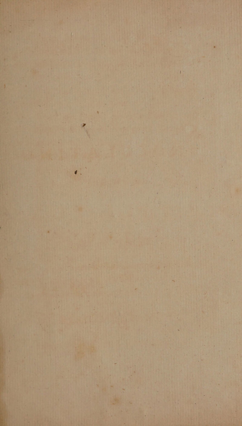 ee fon hes Th ees 7 ms nr ae ie i wt a >