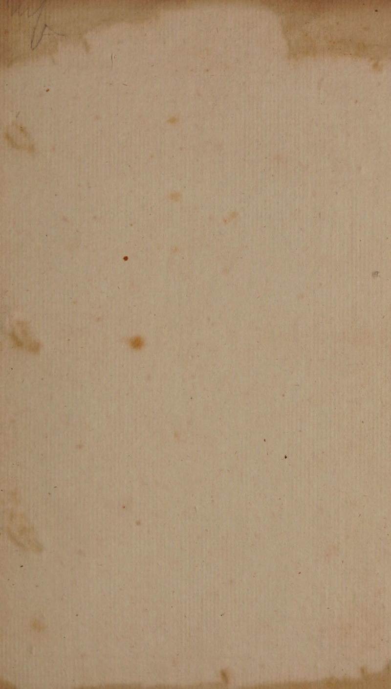 . ‘ - + - 7 ‘ . ’ t y . * : x a i & » . f . ‘ aoa, ay = v= = ~ <a! % - ~~, din. 29 ~ : ay ee -ty- ew -e eleale re A ee ae