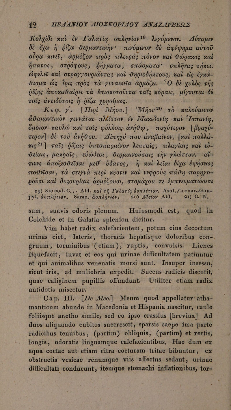 Κολχίδι καὶ iv Γαλατίᾳ σπληνίον 15 λεγόμενον. “4ύναμιν δὲ ἔχει ἡ ῥίζα ϑερμαντικῆν' πινόμενον δὲ ἀφέψημα αὐτοῦ οὖρα κινεῖ, ἁρμόζον πρὸς πλευρᾶς πόνον καὶ ϑώρακος καὶ ἥπατος, στρόφους » ῥήγματα, σπάσματα σπλῆνας τήκει. ὠφελεῖ καὶ Virgo? γουργῶνταϑ καὶ ϑηριοδήκτους, καὶ εἰς ἐγκα-- ϑισμα ὡς ἶρις πρὸς τὰ γυναικεῖα ἁρμόζει. Ὃ δὲ χυλὸς τῆς δίζης ἀποχαϑαίρει τὰ ἐπισκοτοῦντα ταῖς κόραις, μίγνυται δὲ τοῖς ἀντιδότοις 7, ἢ ὁίζα χρησίμως. ^ , Κεφ. y. [Περὶ ηου.] 'Mgov?? τὸ καλούμενον 2 1 ' OE. ἊΝ ς Ur ἀϑαμαντικὸν γεννᾶται πλέϊστον £v Μακεδονίᾳ καὶ “Ισπανίᾳ, ci! d M Lr [4 aw 4 [4 , ὅμοιον καυλῷ καὶ τοῖς φύλλοις. ἀνήϑῳ, παχύτερον [βραχύ-. τερον} δὲ τοῦ ἀνήϑου. Ζζτηχύ mov ἀναβαῖνον, [καὶ πολλά-. κις 211 ταῖς ῥίζαις ὑπεσπαρμένον λεπταῖς, πλαγίαις καὶ εὖ-- ϑείαις. μακραῖς, εὐώδεσι, ϑερμαινούσαις τὴν γλώτταν. αἵ-- 3 - tM » M - ,ὔ € u^ τινὲς ἀποζεσϑεῖσαι μεϑ' ὕδατος, ἢ καὶ λεῖαι δίχα ἕψήσεως ποϑεῖσαι, τὰ στεγνὰ περὶ κύστιν καὶ νεφροὺς πάϑη magnyo- θοῦσι καὶ δυοουρίαις ἁρμόζουσι, στομάχου τε ἐμπνευματώσεσι 19) Sic cod. C... Ald. xa? τῇ Γαλατίᾳ ἀσπλέτιον. Asul.,Cornar.,Gou- py. ἀσπλήτιον. E erm ἀσπλήνιον. 40) Πεῖον Ald. 21) C.N sum, suavis odoris plenum. Huiusmodi est, quod in Colchide et in Galatia splenion dicitur. Vim habet radix calefacientem , potum eius decoctum urinas ciet, lateris, thoracis hepatisque doloribus con- $ruum, torminibus (etiam), ruptis, convulsis. Lienes liquefacit, iuvat et eos qui urinae difficultatem patiuntur et qui animalibus venenatis morsi sunt. Insuper insessu, sicut iris, ad muliebria expedit. Succus radicis discutit, quae caliginem pupillis offundunt. Utiliter etiam radix antidotis miscetur. : Cap. III. [De 7Meo.]] Meum quod appellatur- atha- manticum abunde in Macedonia et Hispania nascitur, caule foliisque anetho simile, sed eo ipso crassius [brevius] Ad duos aliquando cubitos succrescit, sparsis saepe ima parte radicibus tenuibus, (partim) obliquis, (partim) et rectis, longis, odoratis linguamque calefacientibus, Hae dum ex aqua coctae aut etiam citra cocturam tritae bibuntur, ex obstructis vesicae renumque viis affectus sedant, urinae difficultati conducunt, itemque stomachi inflationibus, tor-