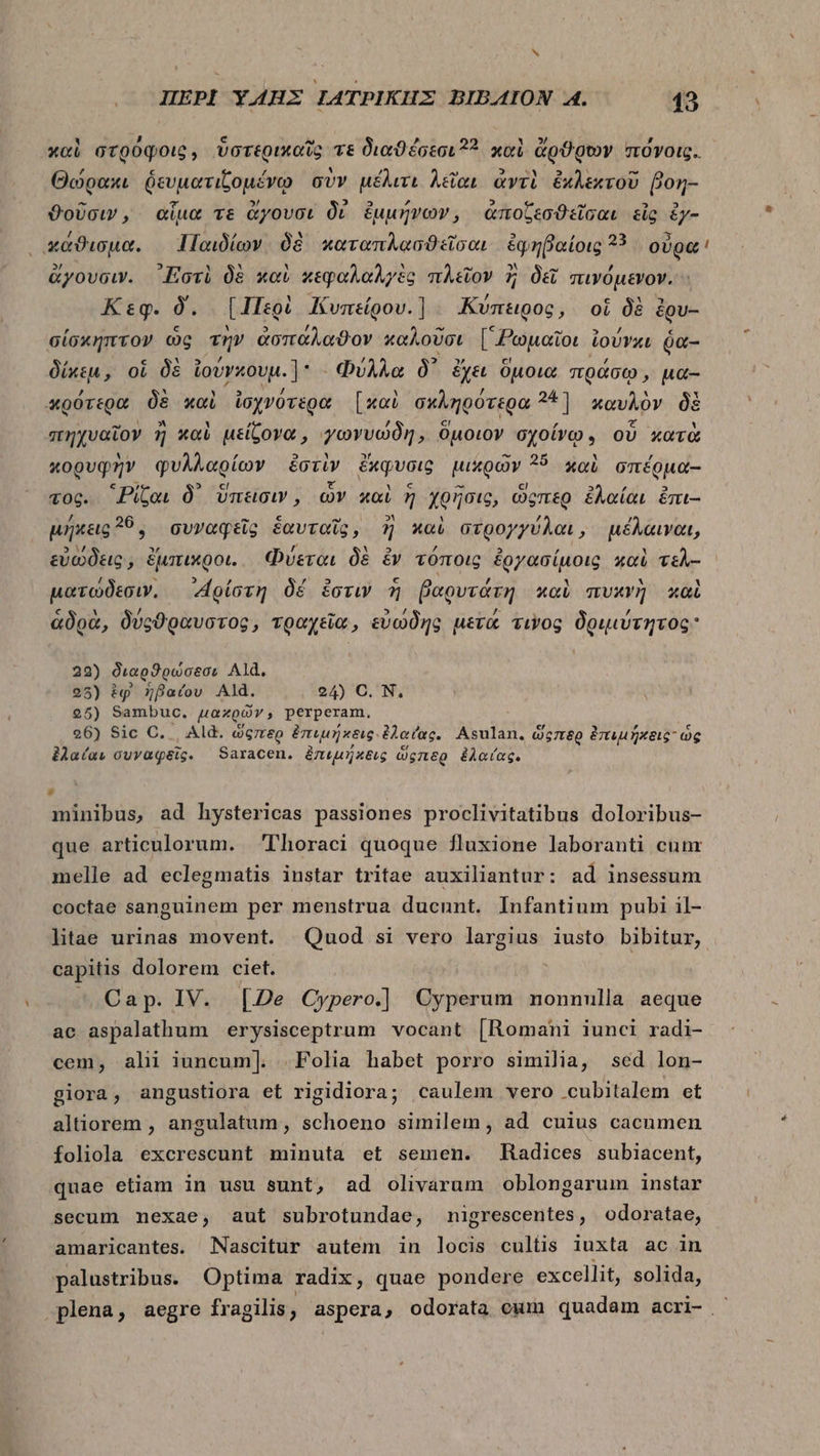 (3 εξ ^ ! καὶ στρύφοις, ὕστερικαῖς τε διαϑέσεσι 233 καὶ ἄρϑρων πόνοις. ς y , ^ Ww ; m Θώρακι δευματιζομένῳ σὺν μέλιτι λεῖαι ἀντὶ ἐχλεχτοῦ βοη- » 3 E , ϑοῦσιν, αἷμα τε ἄγουσι δὲ ἐμμήνων, ἀποζεσϑεῖσαι εἰς Mie χκάϑισμα. Παιδίων. δὲ καταπλασϑεῖσαι ἐφηβαίοις 33 οὐρα! 2) b] M LI M δ ^ ^ ^ , ἄγουσιν. ᾿Εστὶ δὲ καὶ κεφαλαλγὲς πλεῖον ἢ δεῖ πινόμενον. Κεφ. Ó. {Περὶ Kumeígov.] ΑΚύπειρος, οἱ δὲ ἐρυ-- σίσκηπτον ὡς τὴν ἀσπάλαϑον καλοῦσι [Ῥωμαῖοι ἰούνκε ῥα- δίκεμ, οἱ δὲ ἰούνκουμ.1: Φύλλα δ᾽ ἔχει ὅμοια πράσῳ, μα- D δὲ τ εν τυ λα  24 πρότερα δὲ καὶ ioyvovego [καὶ ow ληρότερα ] καυλὸν δὲ πηχυαῖον ἢ καὶ μείζονα, γωνυώδη, ὅμοιον σχοίνῳ» οὗ κατὰ κορυφὴν φυλλαρίων ἐστὶν ἔχφυσις μικρῶν 25. xai onéoua- € 43! 5 cl c “ €! 2 ,ὕ 3 τος. Ρίζαι Ó ὕπεισιν, ὧν καὶ 5 χρῆσις, ὥςπερ ἐλαίαι ἐπι-- μήκεις 39, συναφεῖς ἑαυταῖς, ἢ καὶ στρογγύλαι, μέλαιναι, εὐώδεις, ἔμπικροι. (Φύεται δὲ ἐν τόποις ἐργασίμοις καὶ τελ-- ματώδεσιν, ᾿Αρίστη δέ ἔστιν ἢ βαρυτάτη καὶ πυκνὴ καὶ / ὦ 7 ΄ ᾿ ἁδρὰ, δύοϑραυστος, τραχεῖα, εὐώδης μετά τινος δριμύτητος 22) διαρϑρώσεσι Ald. 25) ig ἡβαίου Ald. 24) C. N. 95) Sambuc. μακρῶν, perperam. 26) Sic C. | Ald. ὥςιξρ ἐπιμήκεις: ἐλαίας. Asulan. ὥςπερ ἐπιμήκεις ὡς ἐλαίαι cuvaqeig. X Saracen. ἐπεμήκξις ὥςπερ ἐλαίας. , minibus, ad hystericas passiones proclivitatibus doloribus- que articulorum. Thoraci quoque fluxione laboranti cunr melle ad eclegmatis instar tritae auxiliantur: ad insessum coctae sanguinem per menstrua ducunt. Infantium pubi il- litae urinas movent. Quod si vero largius iusto bibitur, capitis dolorem ciet. Cap. IV. [2e Cypero.] Cyperum nonnulla aeque ac aspalathum erysisceptrum vocant [Romani iunci radi- cem, ali iuncum]. Folia habet porro similia, sed lon- giora, angustiora et rigidiora; caulem vero cubitalem et altiorem , angulatum, schoeno similem, ad cuius cacnmen foliola excrescunt minuta et semen. Hadices subiacent, quae etiam in usu sunt, ad olivarum oblongarum instar secum mnexae, aut subrotundae, nigrescentes, odoratae, amaricantes. Nascitur autem in locis cultis iuxta ac in palustribus. Optima radix, quae pondere excellit, solida, plena, aegre fragilis, aspera, odorata cum quadem acri- ὦ