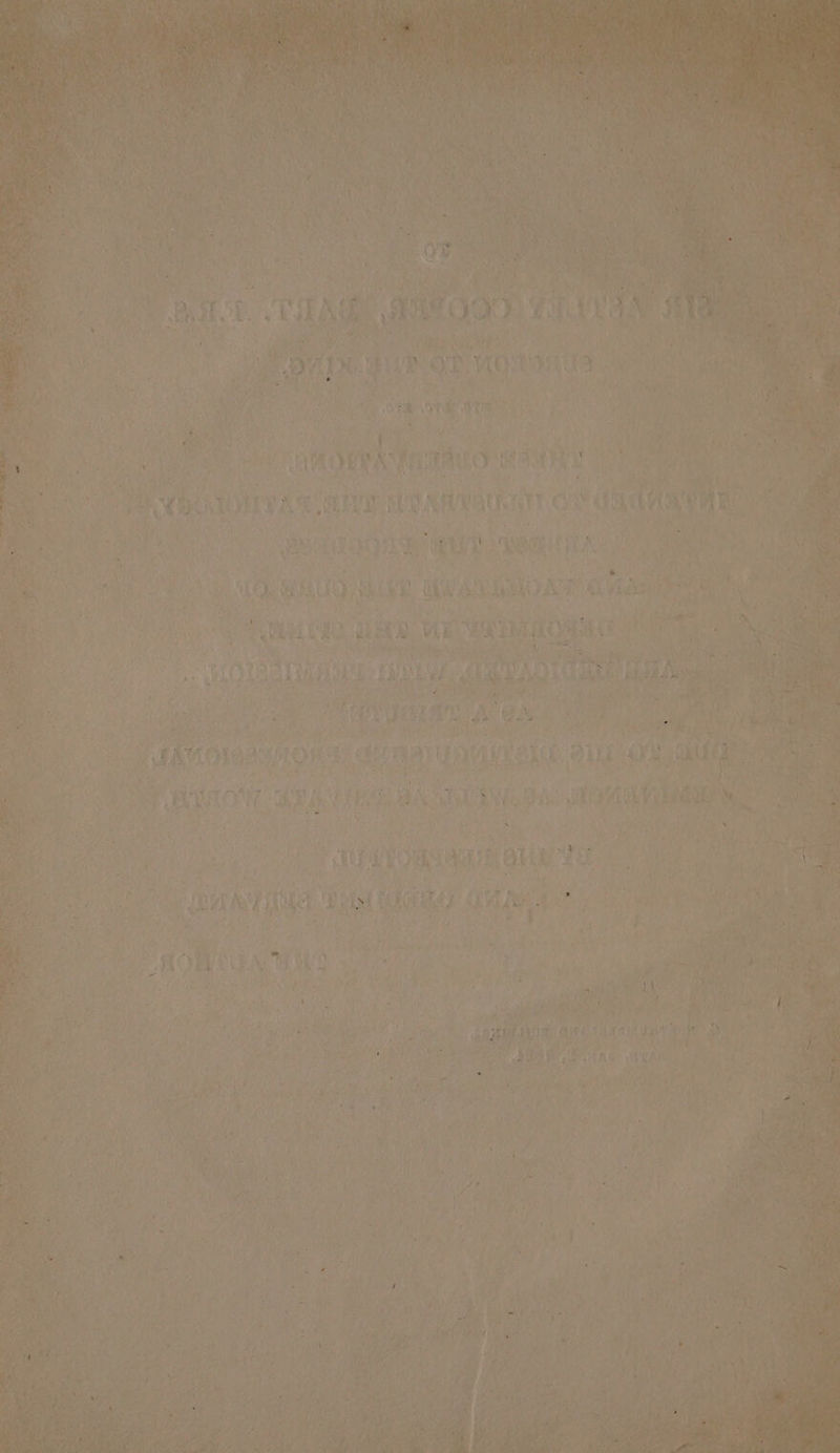 es ul Byt § Hi ft are tif a L ee fe? > r : Aaa te ?
