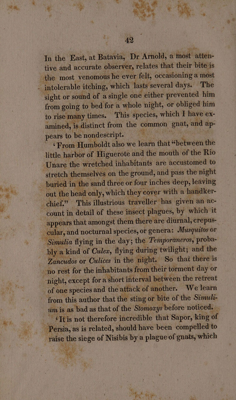 Tn the. East, at Batavia, ‘Dr Arnold, a ‘fdat! ‘ate tive and accurate observer, relates that their bite is the most. venomous he ever. felt, occasioning a most . intolerable itching, which Tasts several days. The : sight or sound of a single one either prevented him from going to bed for a whole night, or obliged him to rise ma ny times. This: species, which I have ex- amined, is distinct from. the common. ane and : ap- } pears to be nondescript. a From: Humboldt also we rat that Stree the little harbor of Higuerote and the mouth of the Rio : Unare the wretched inhabitants are accustomed to stretch. themselves on the ground, and pass ‘the night hin: om + n the sand three or four inches deep, leaving Nl : out the head. only, which they < cover with a handker- | | - chief. ae This illustrious traveller ‘has given an ac- count i in detail of these insect plagues, by which it S appears that amongst them there are diurnal, crepus- jar, and nocturnal species, or genera: Musquitos or mulia flying i in the day; the ‘Temporaneros, ‘proba- kind of Culex, flying dur ied ae and the Gai udos or Culices in the” night So that there is - no rest for the inhabitants fr rom Rete torment day or | night, except for a short interval between the retreat _ of one species sand the attack of another. We learn from this author that the : sting or bite of the Simuli- rim is as ‘bad as that of the Stomoays before noticed. . _ $Ttis not therefore incredible that Sapor, king ‘a, i - Persia, as is related, should have been compelled to es aise the siege of Nisibis by a plague of gnats, which