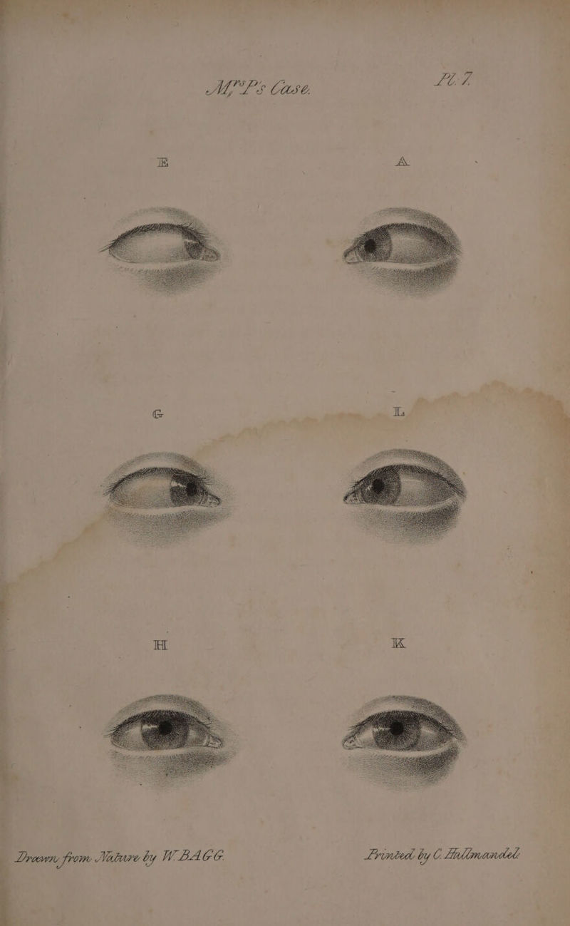 Lee Draven, from Nature by WBACE Printed by C Fadlmanded: